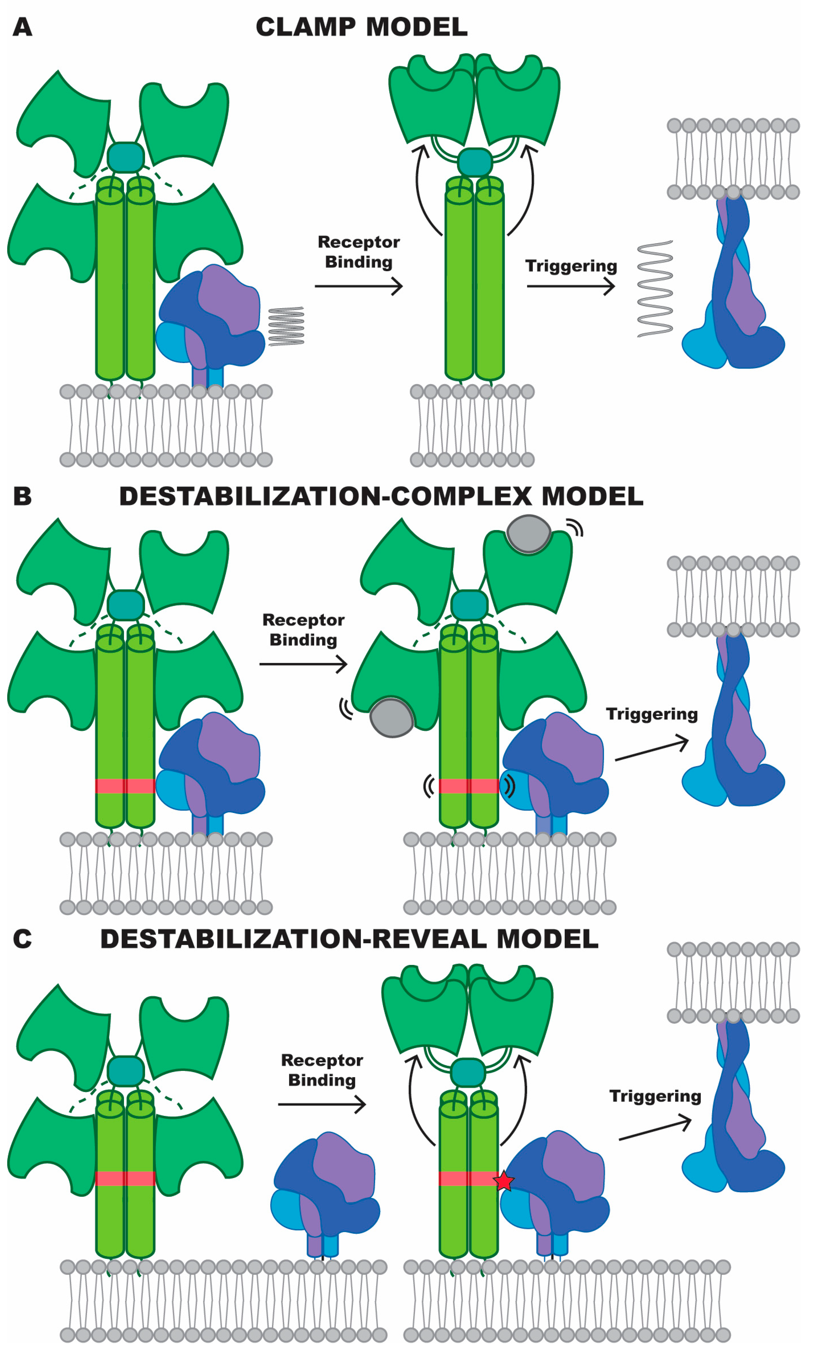 Viruses 16 00195 g006