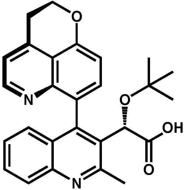 Viruses 16 00200 g006