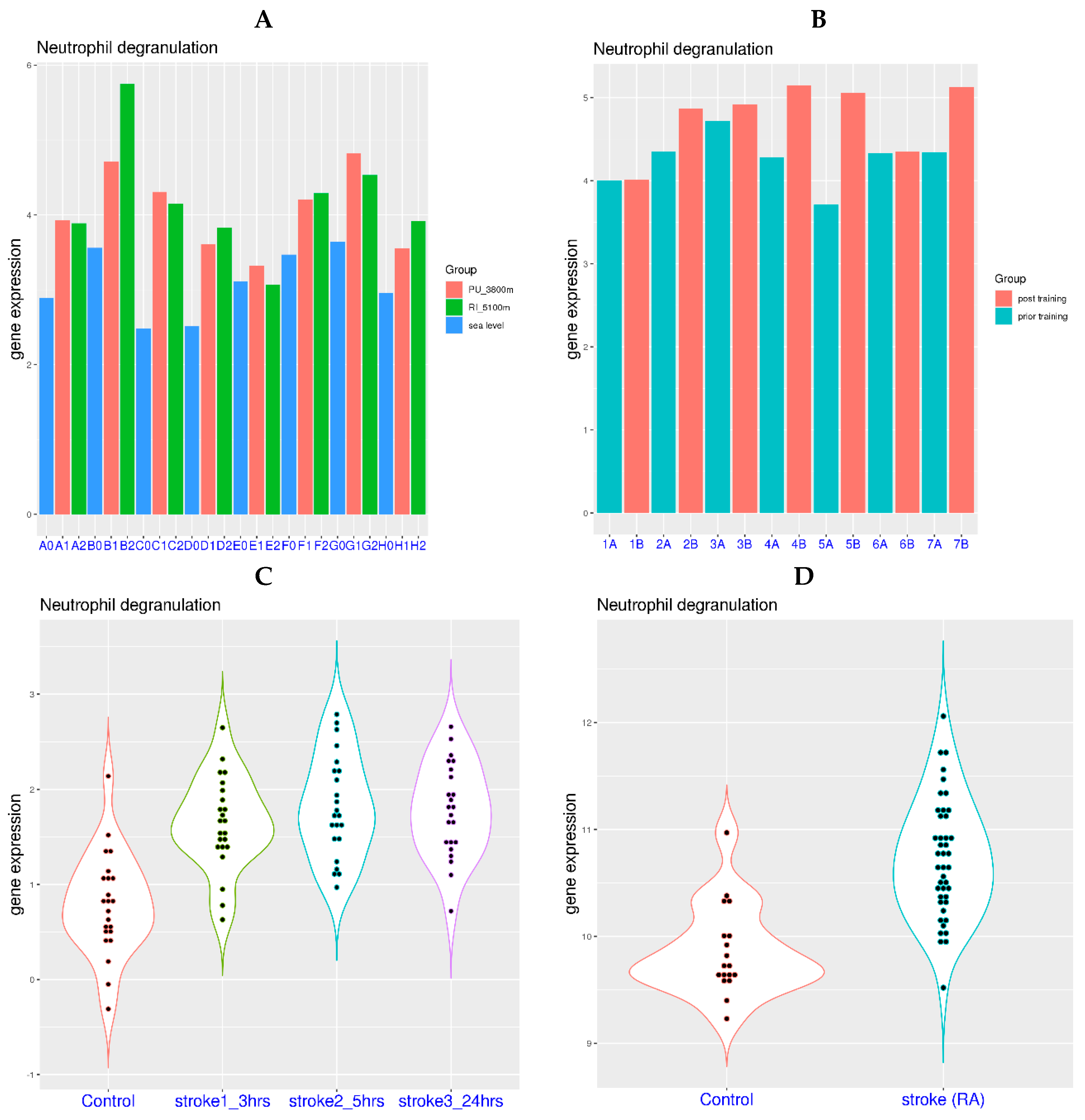 Viruses 16 00201 g001