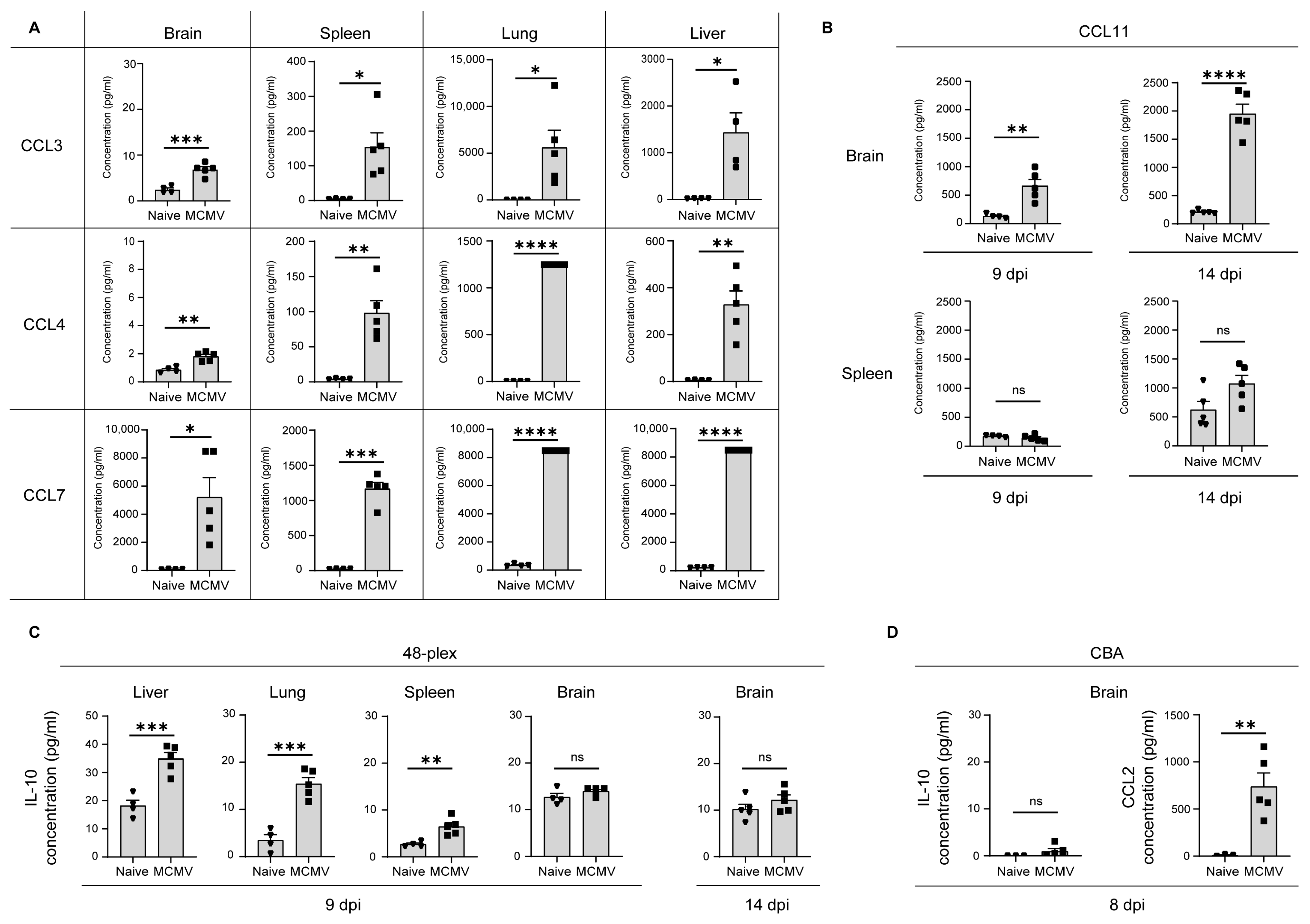 Viruses 16 00208 g001