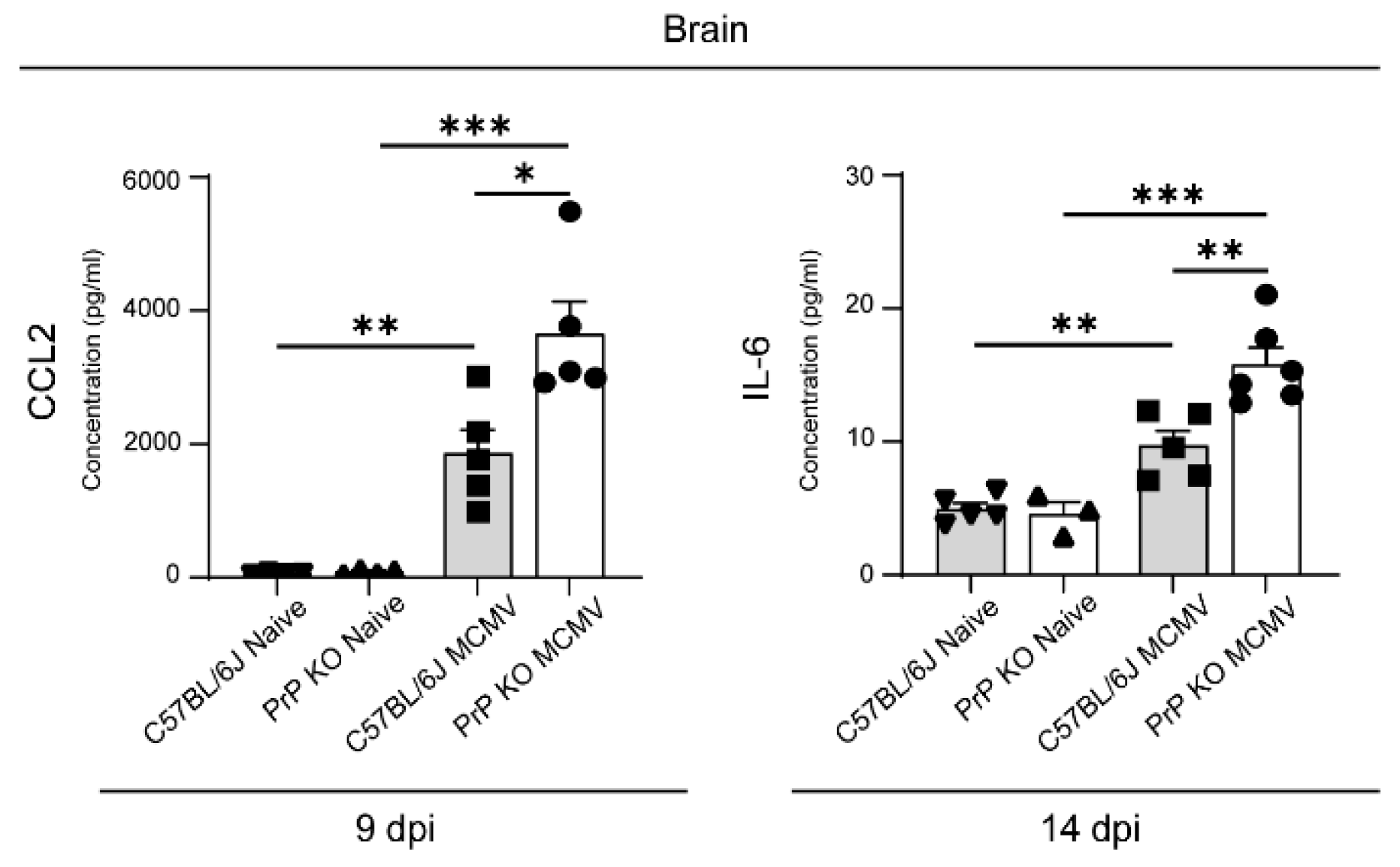 Viruses 16 00208 g002