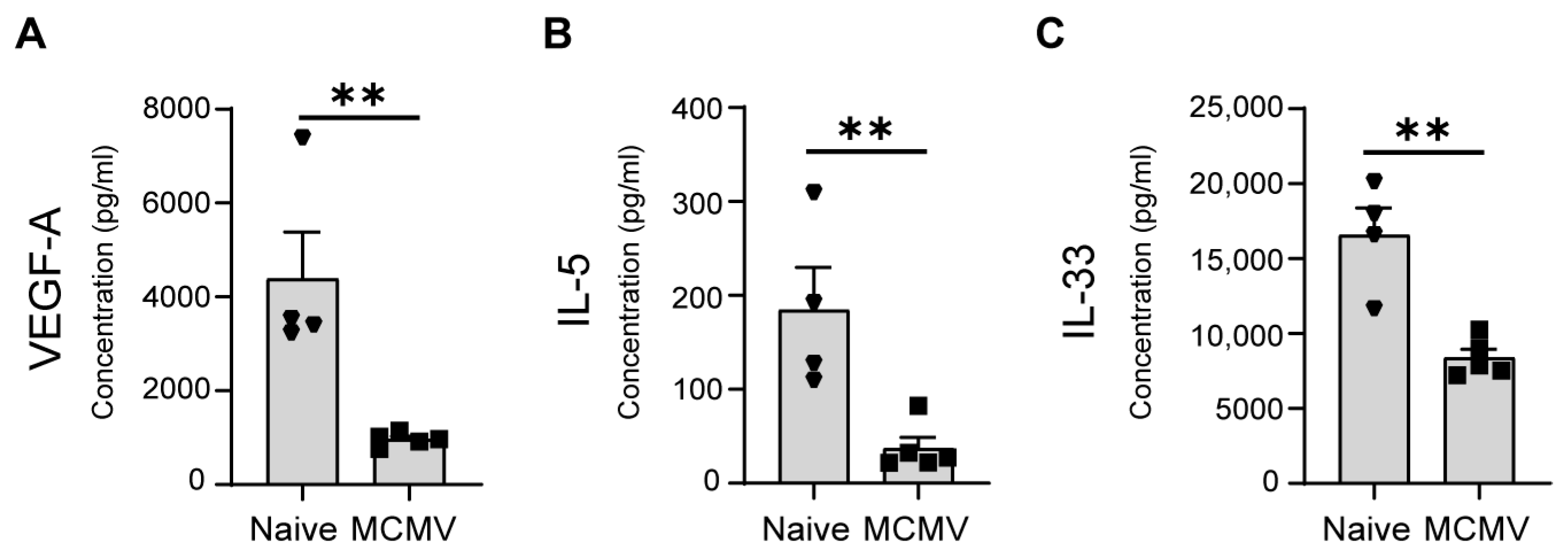 Viruses 16 00208 g003