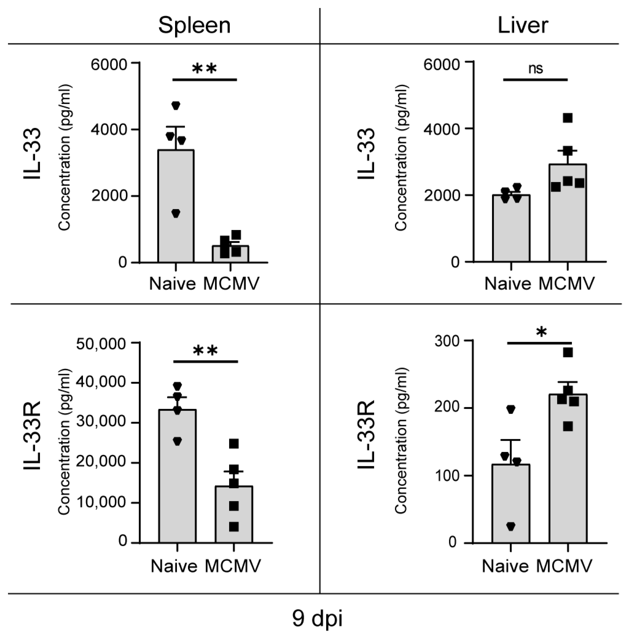 Viruses 16 00208 g004