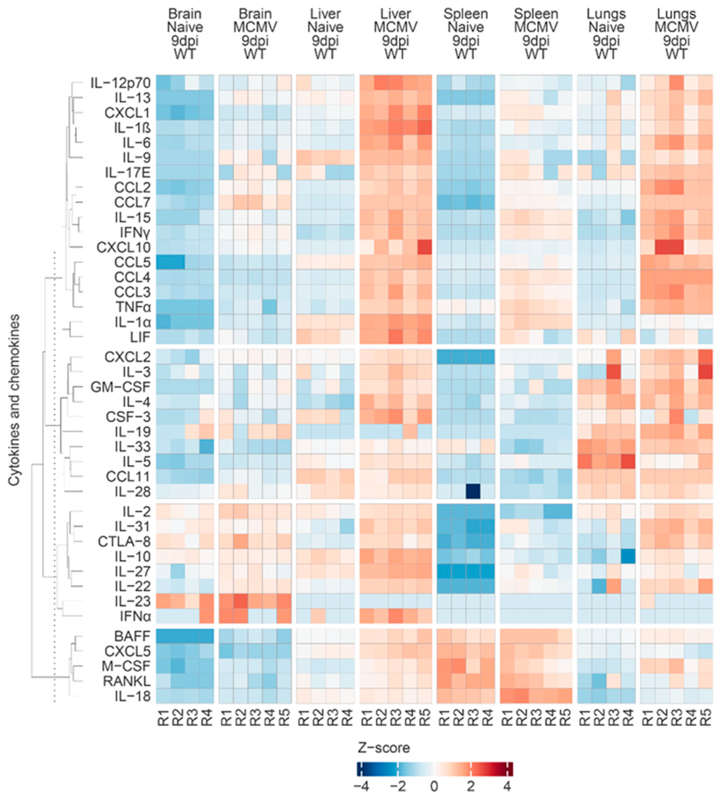 Viruses 16 00208 g005