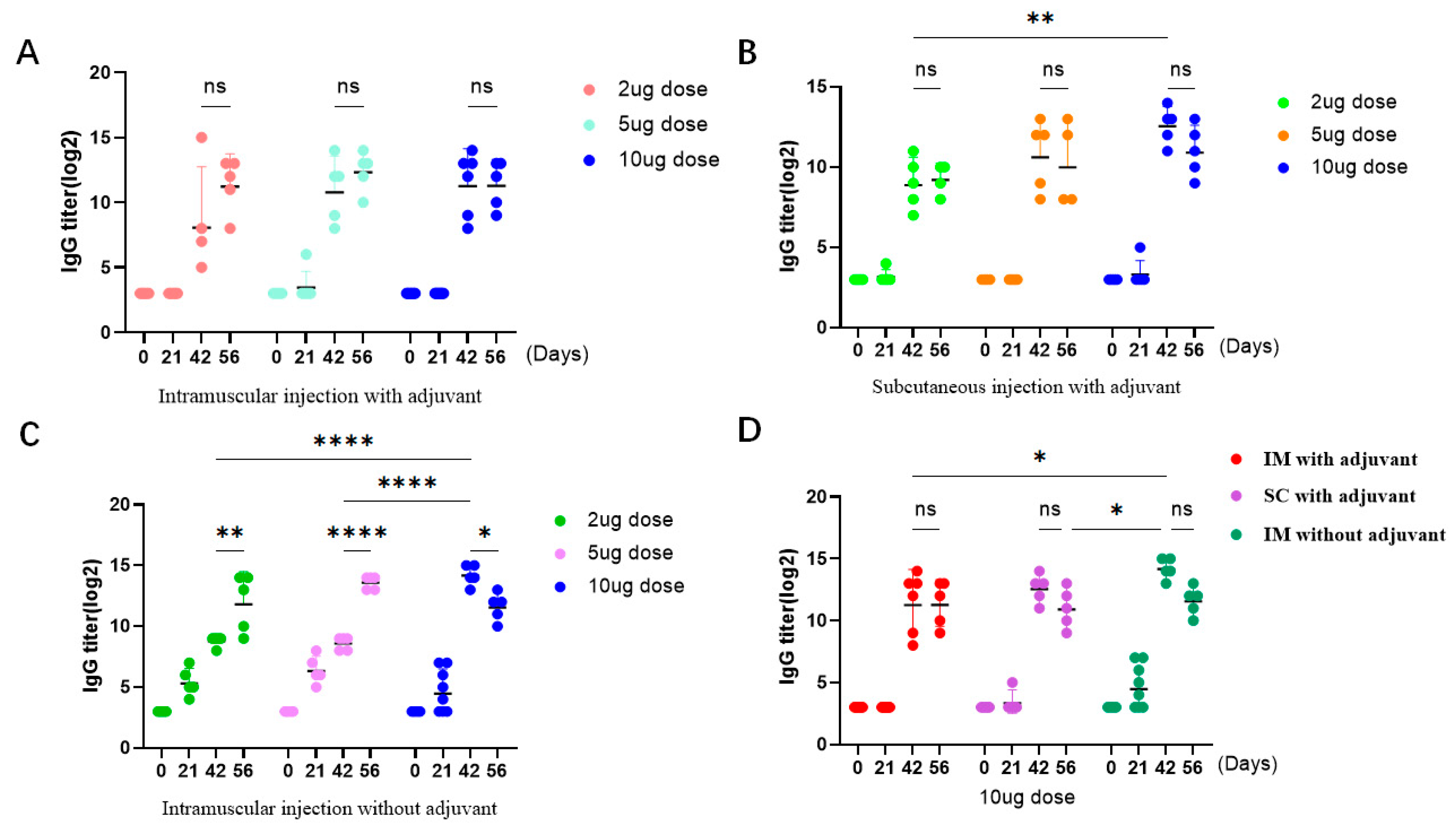 Viruses 16 00211 g002