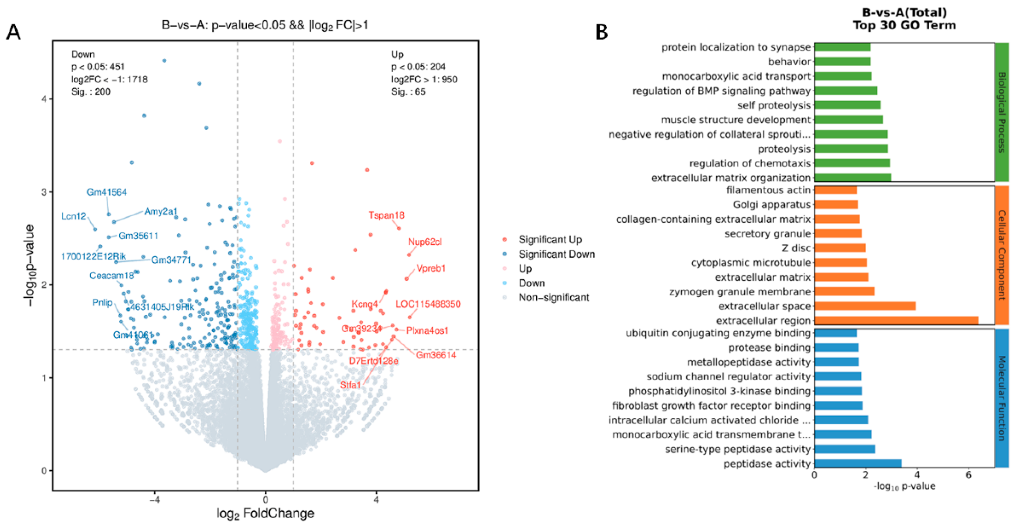 Viruses 16 00211 g004