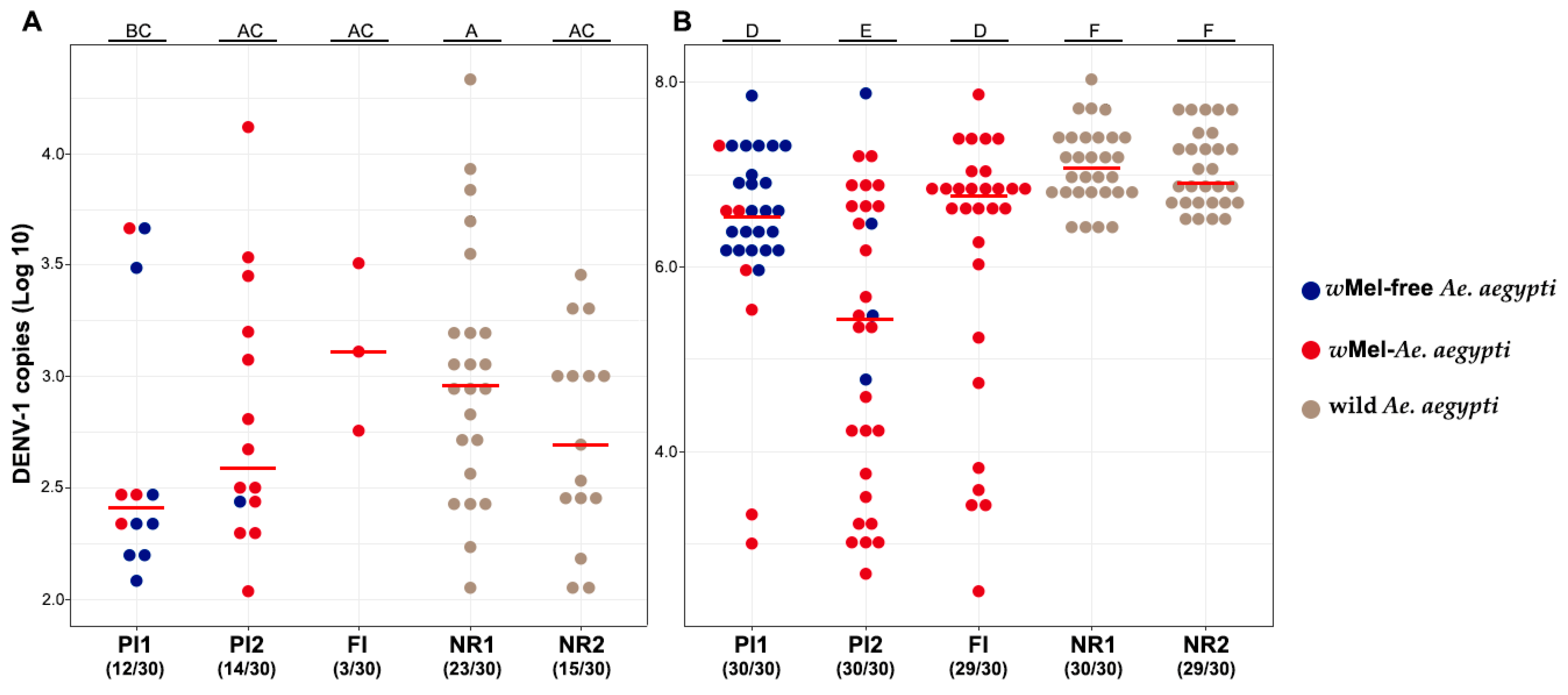 Viruses 16 00214 g003