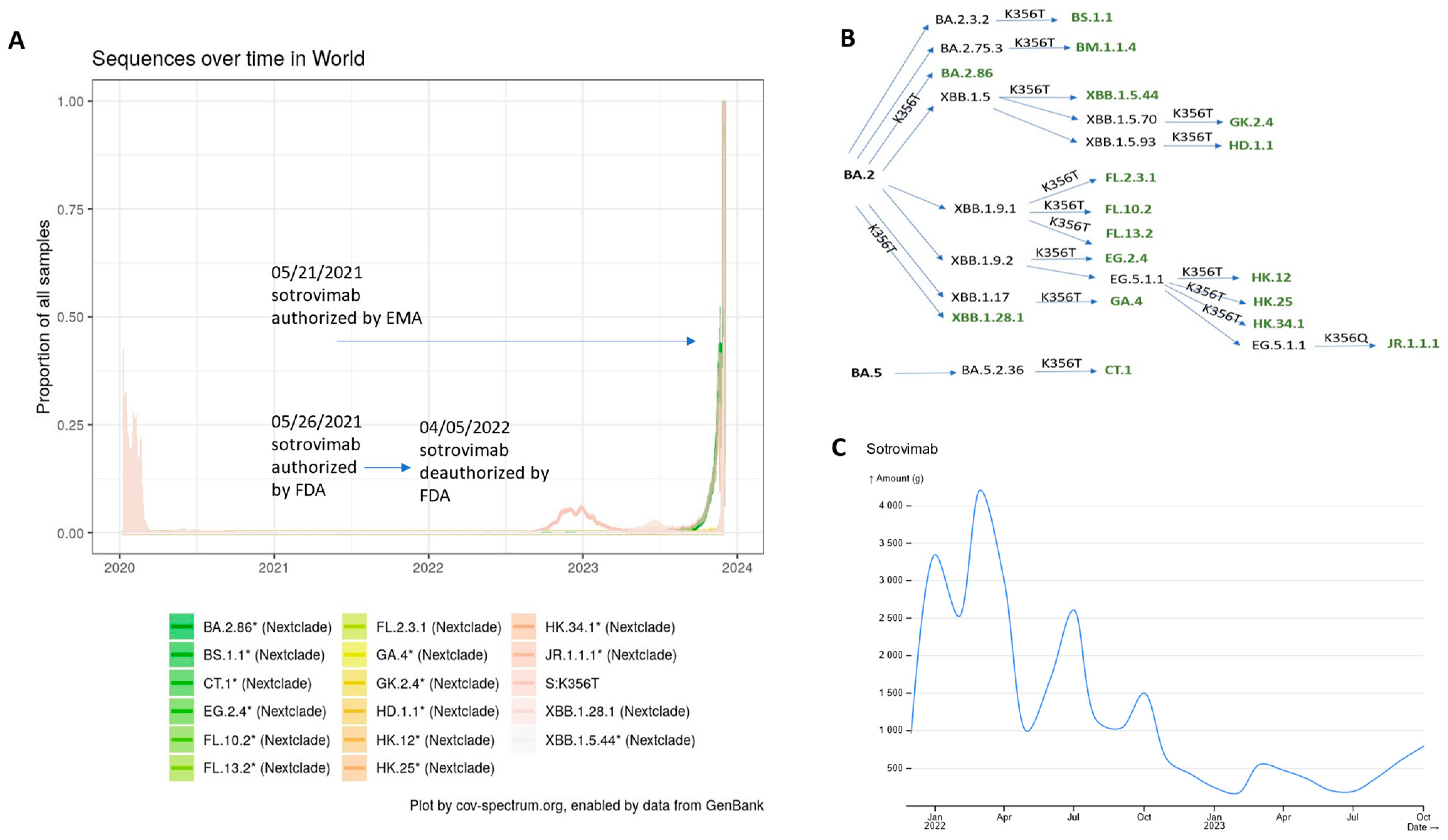Viruses 16 00217 g001