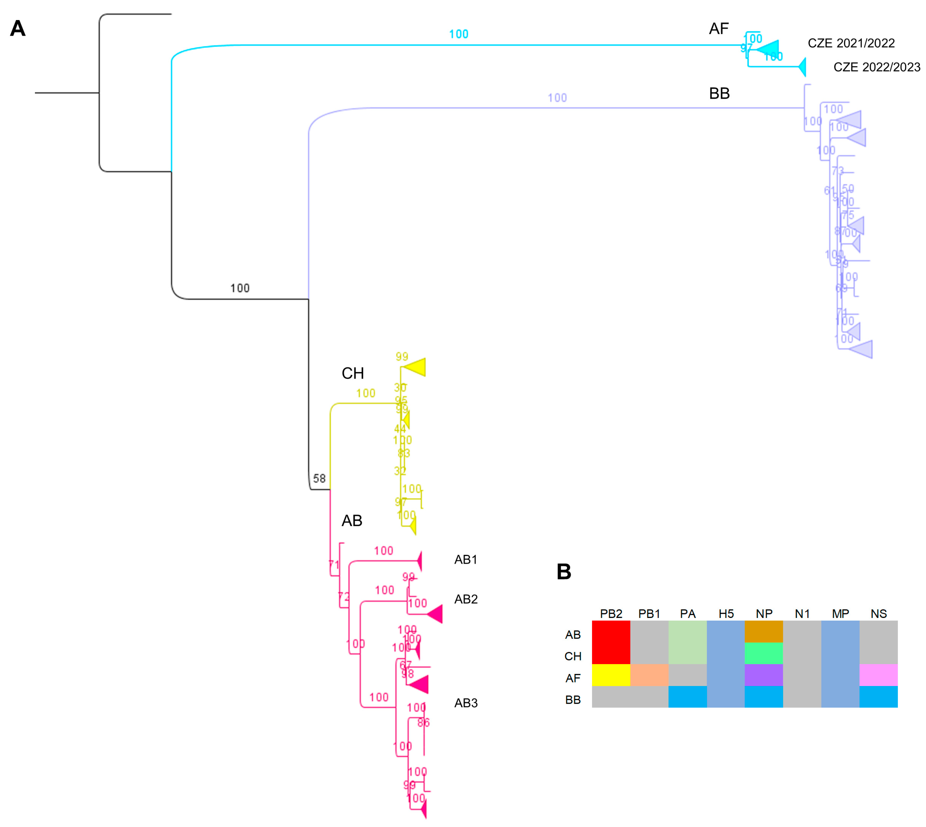 Viruses 16 00221 g002