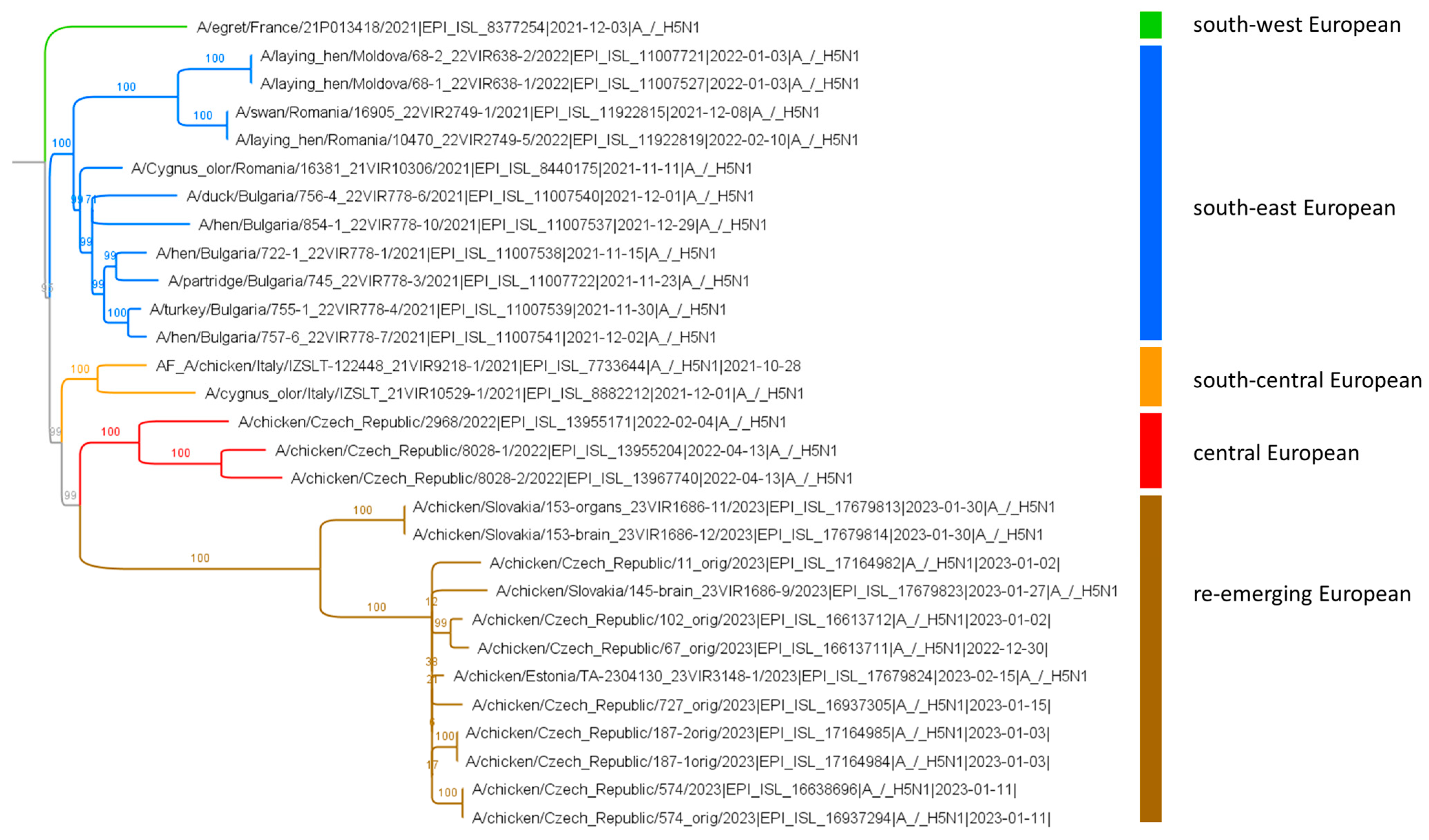Viruses 16 00221 g005