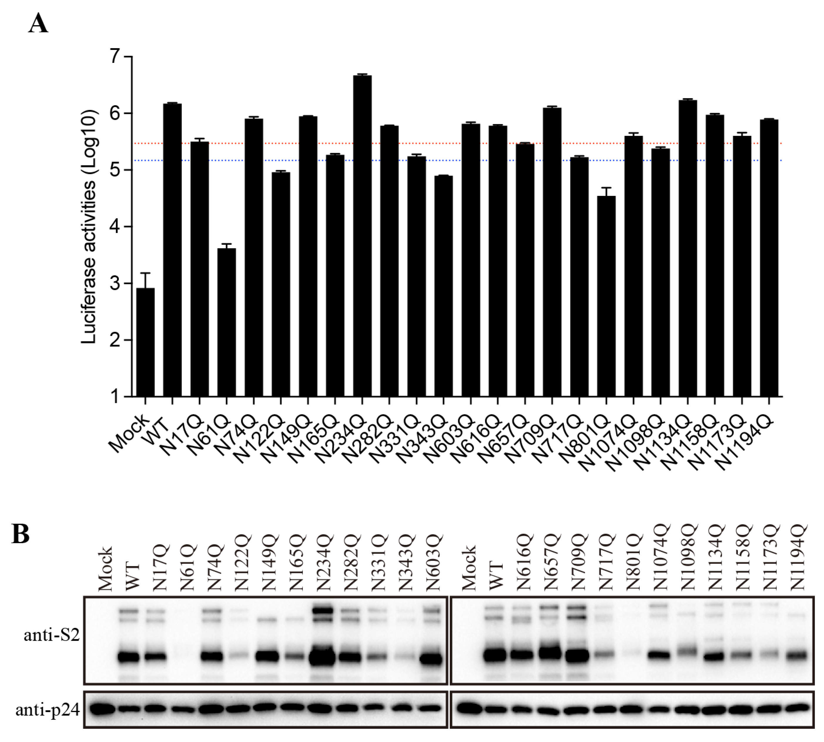 Viruses 16 00223 g004