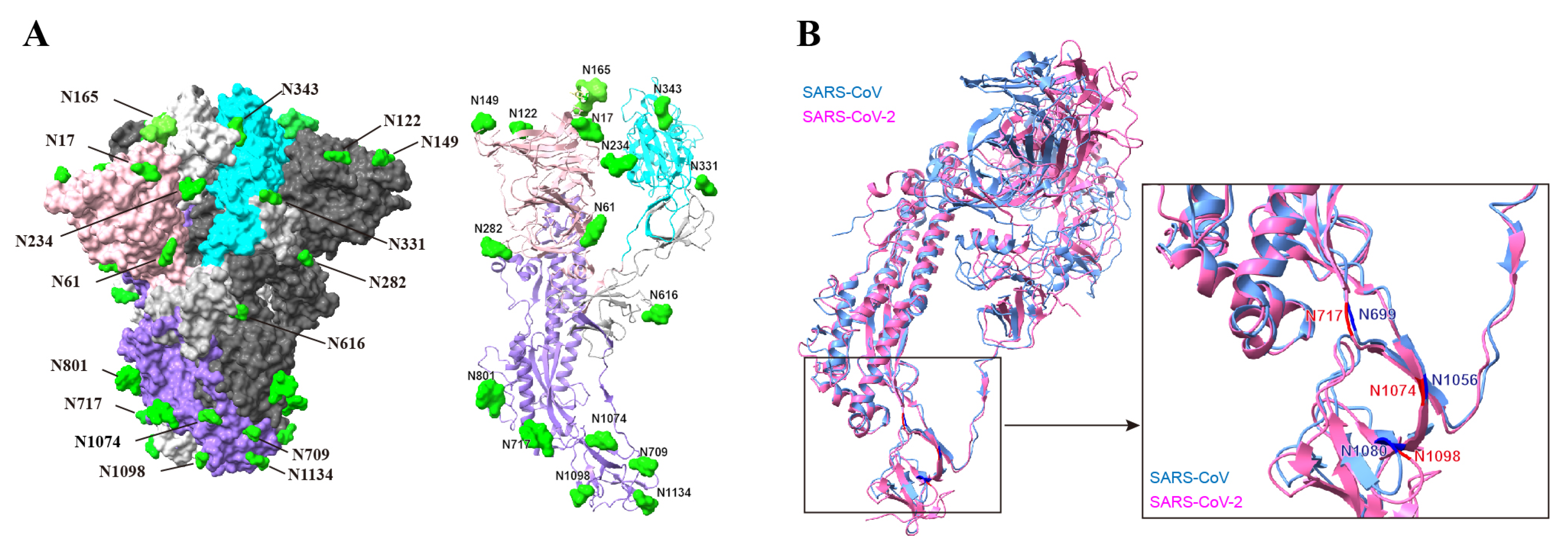 Viruses 16 00223 g008