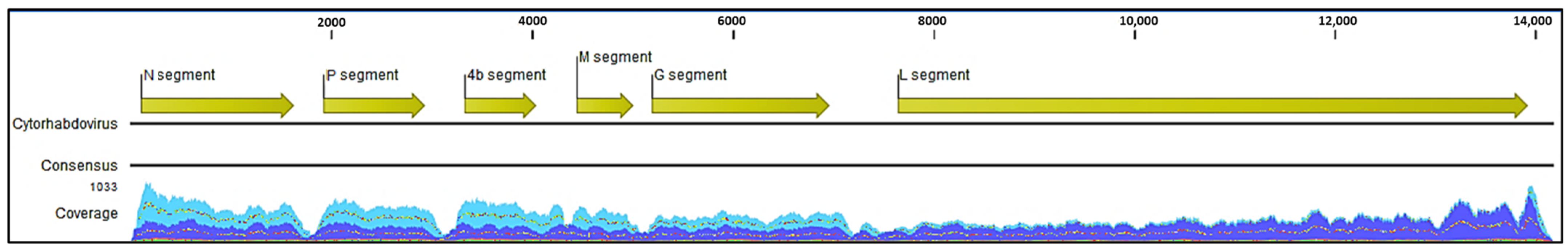 Viruses 16 00226 g002 Viruses 16 00226 g002
