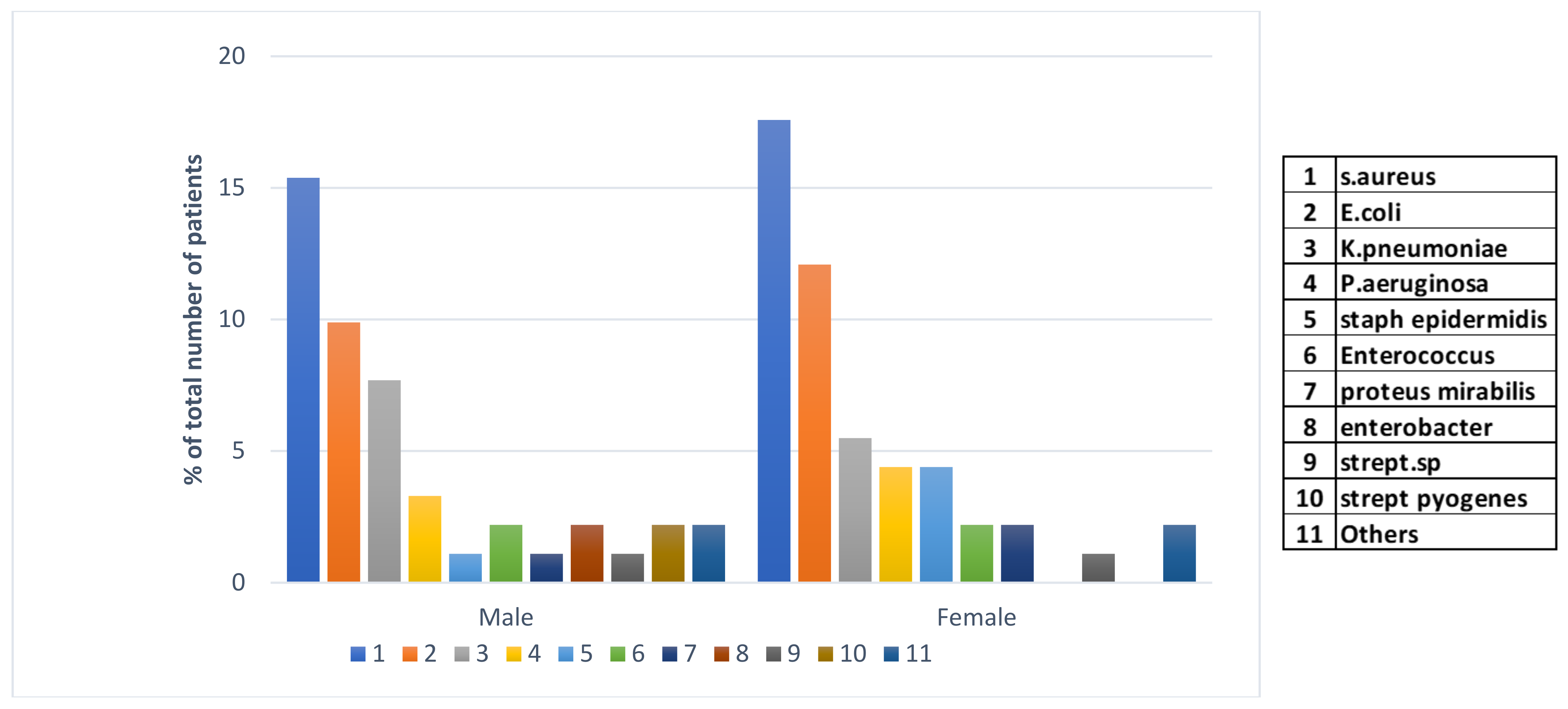 Viruses 16 00227 g005