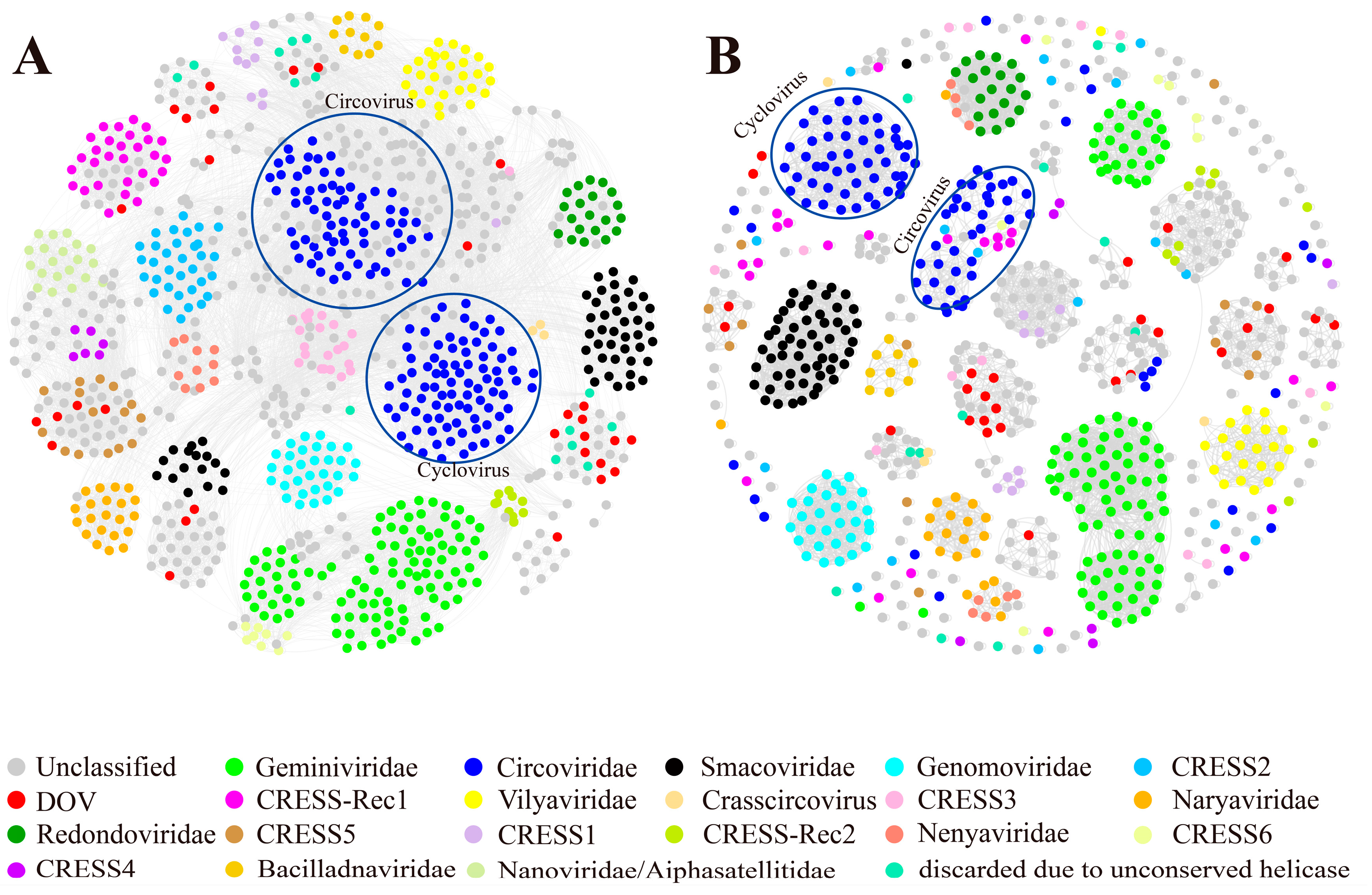 Viruses 16 00228 g001