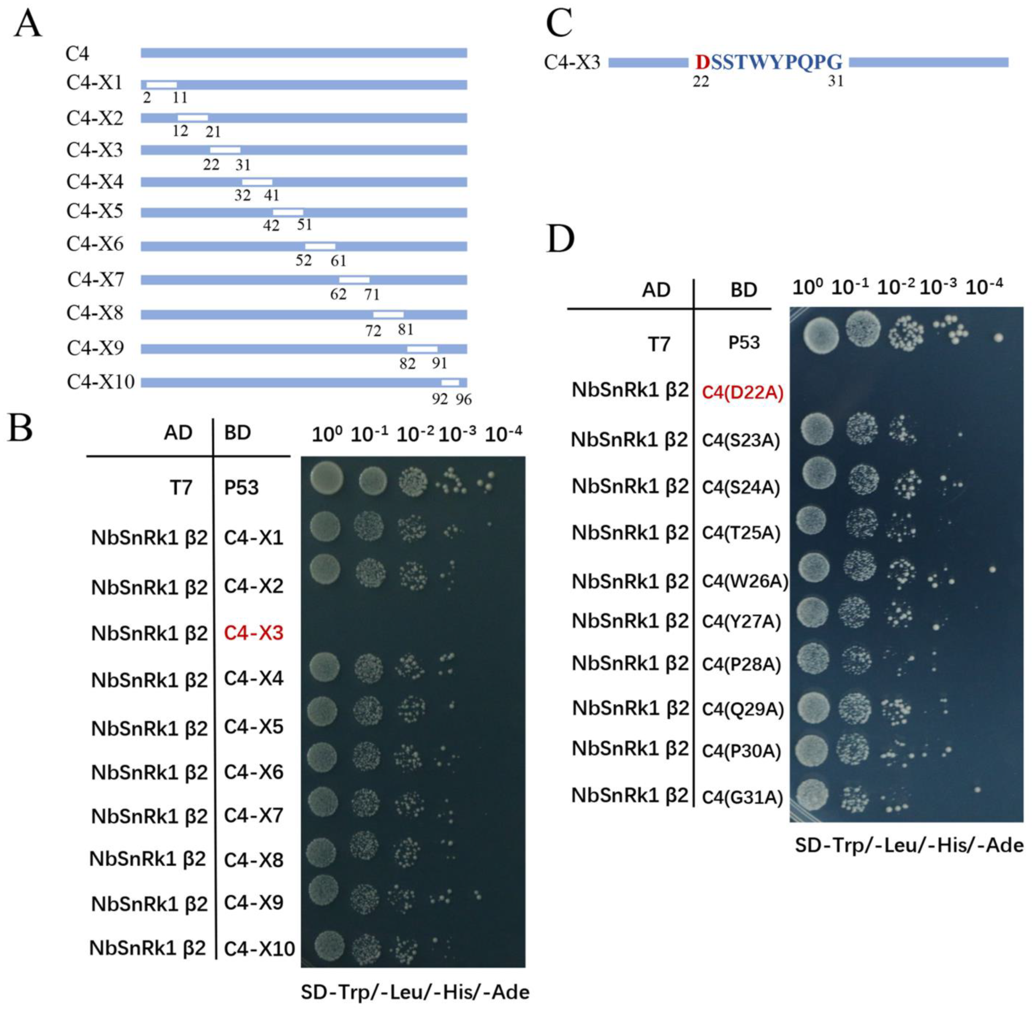 Viruses 16 00234 g004a