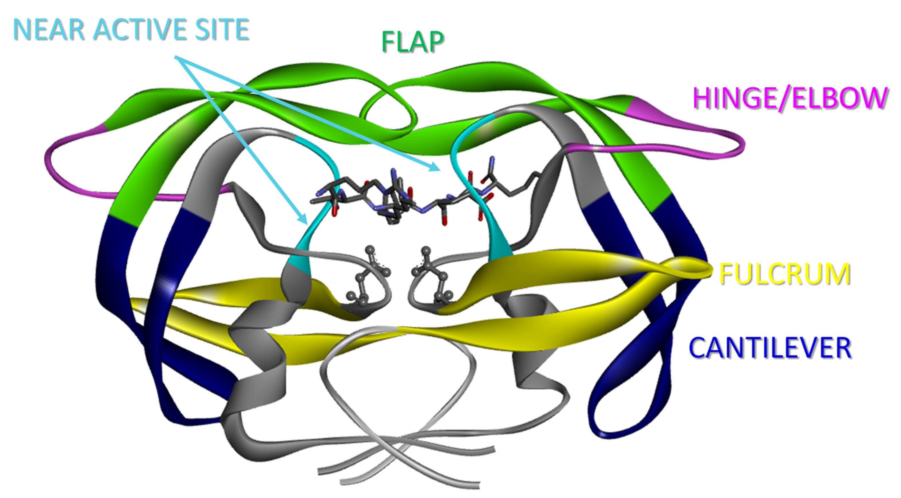Viruses 16 00236 g001