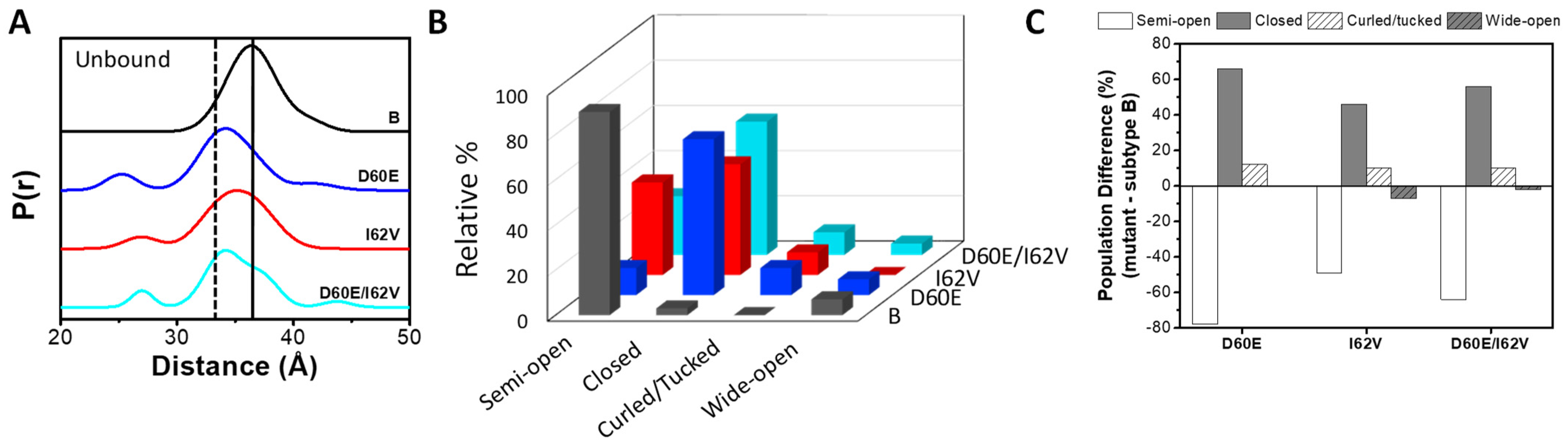 Viruses 16 00236 g003