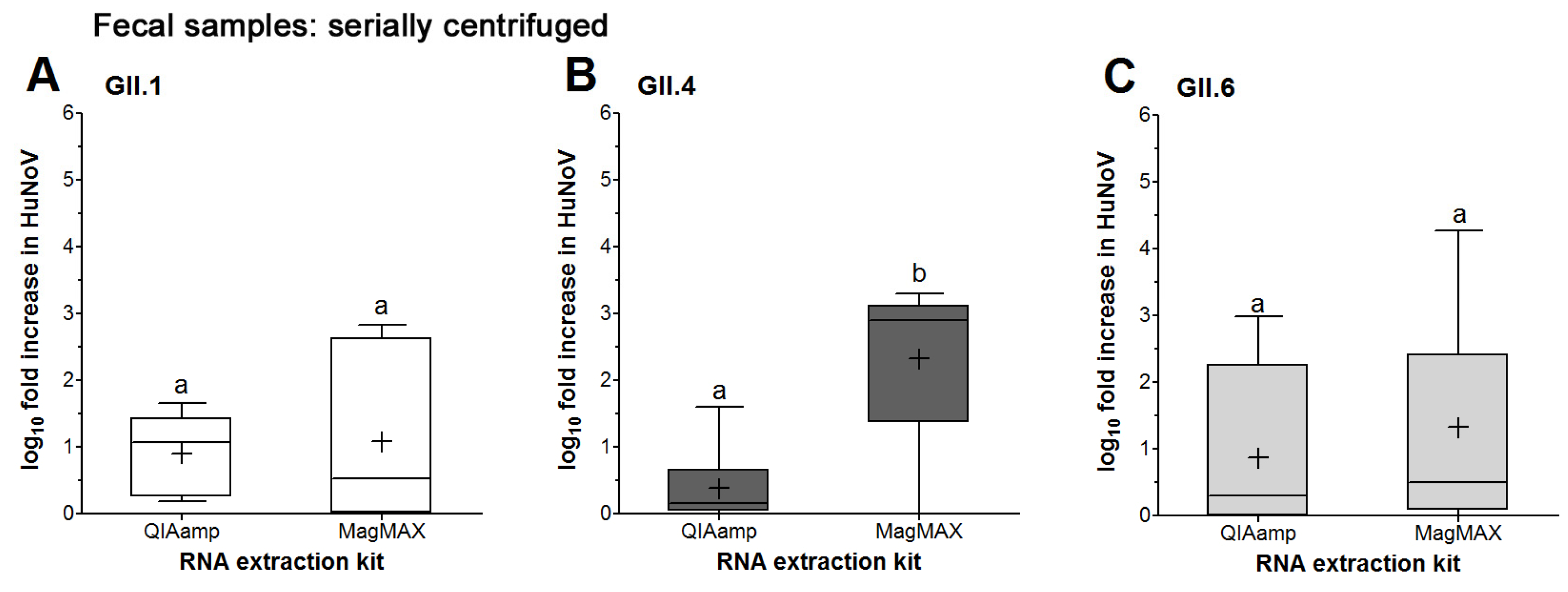 Viruses 16 00241 g003