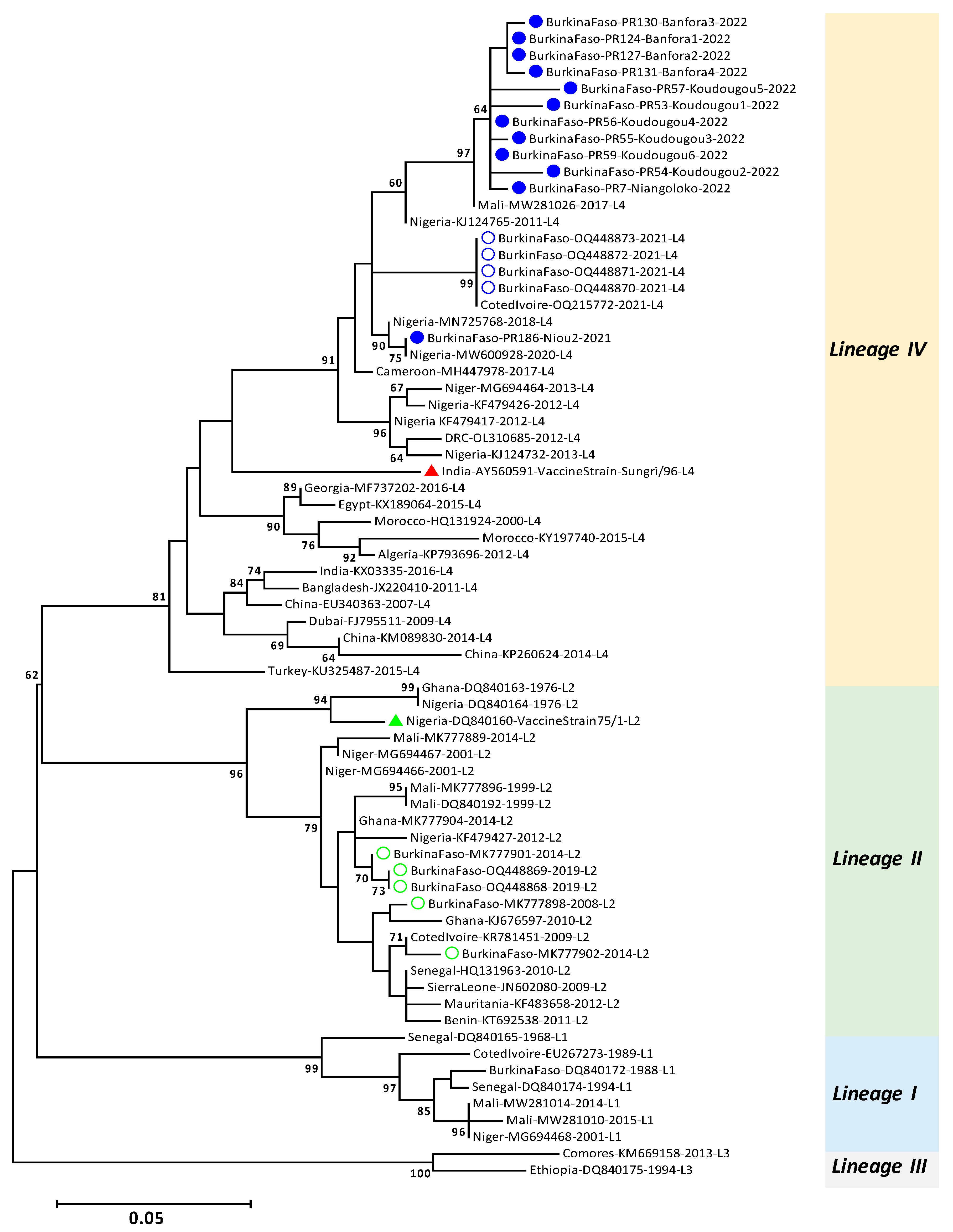 Viruses 16 00244 g002