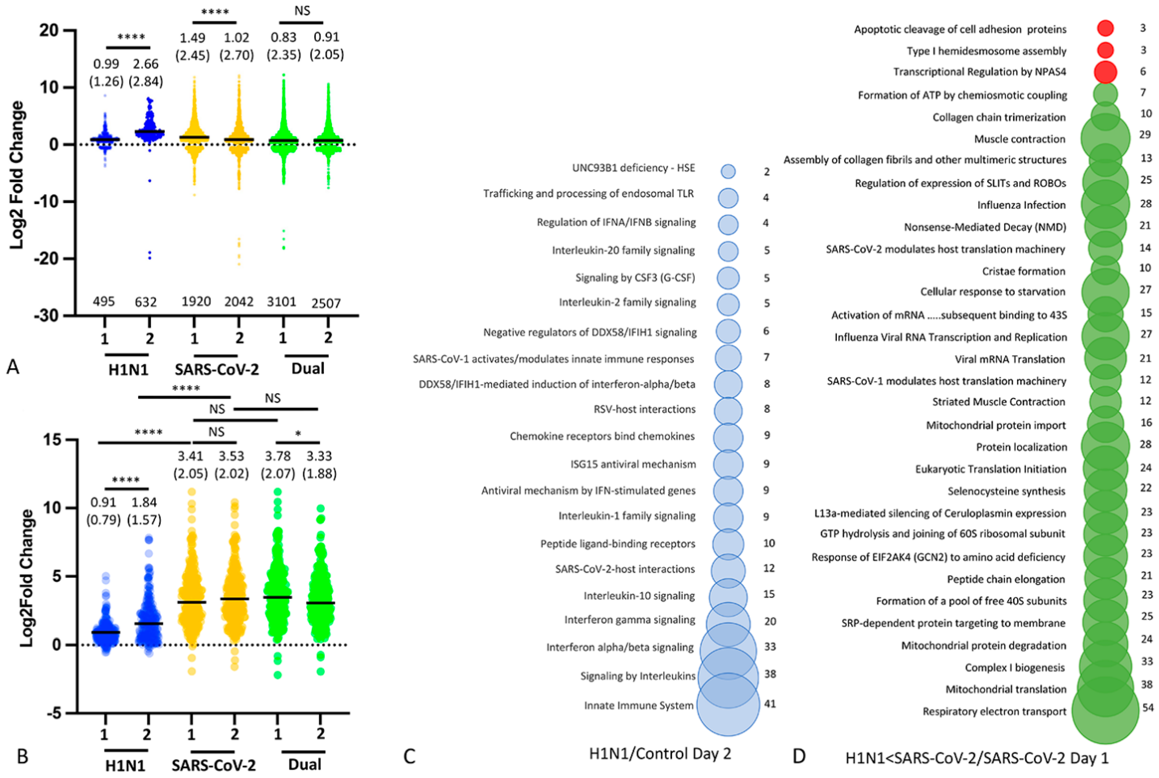Viruses 16 00246 g006