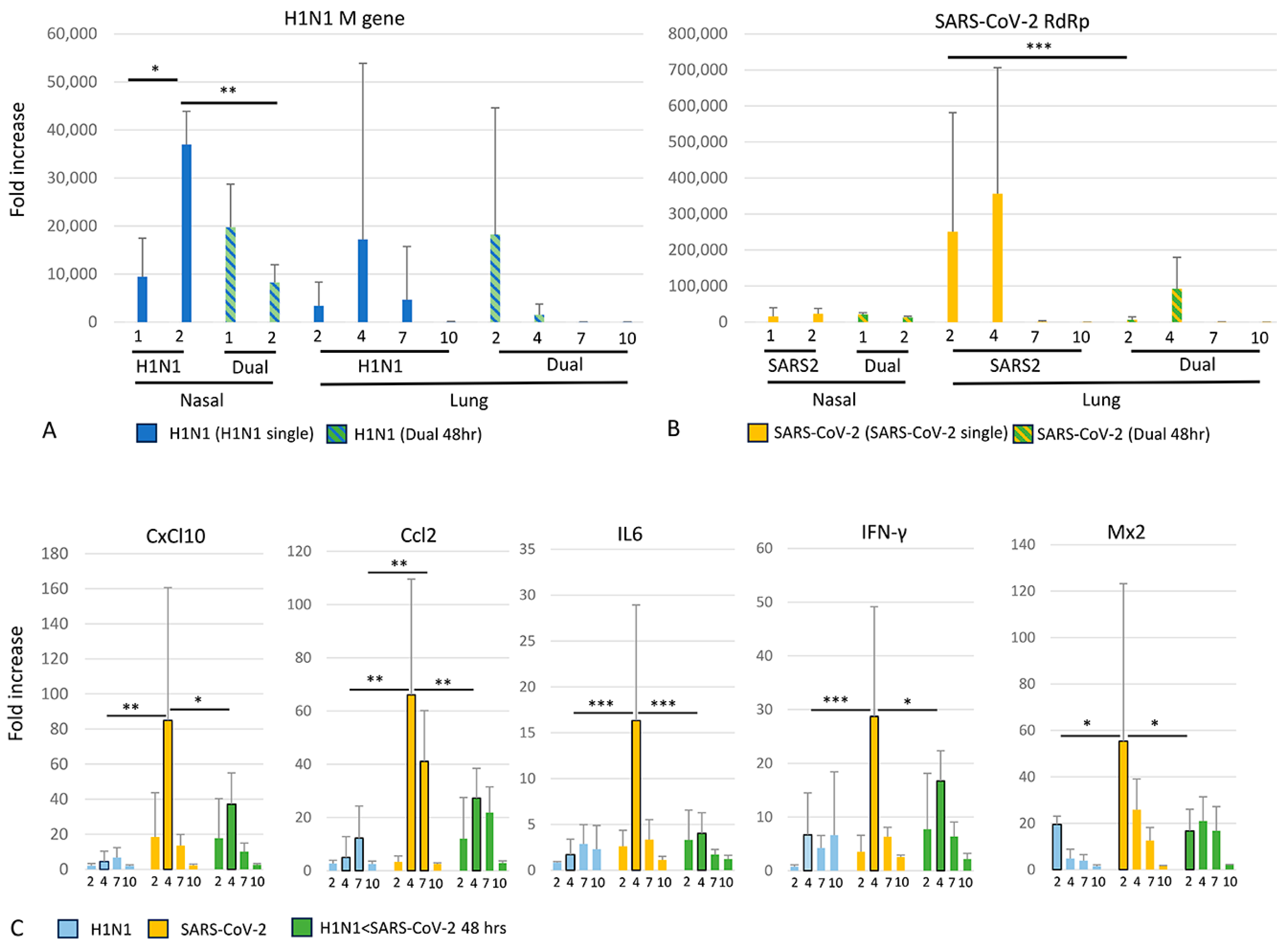 Viruses 16 00246 g007