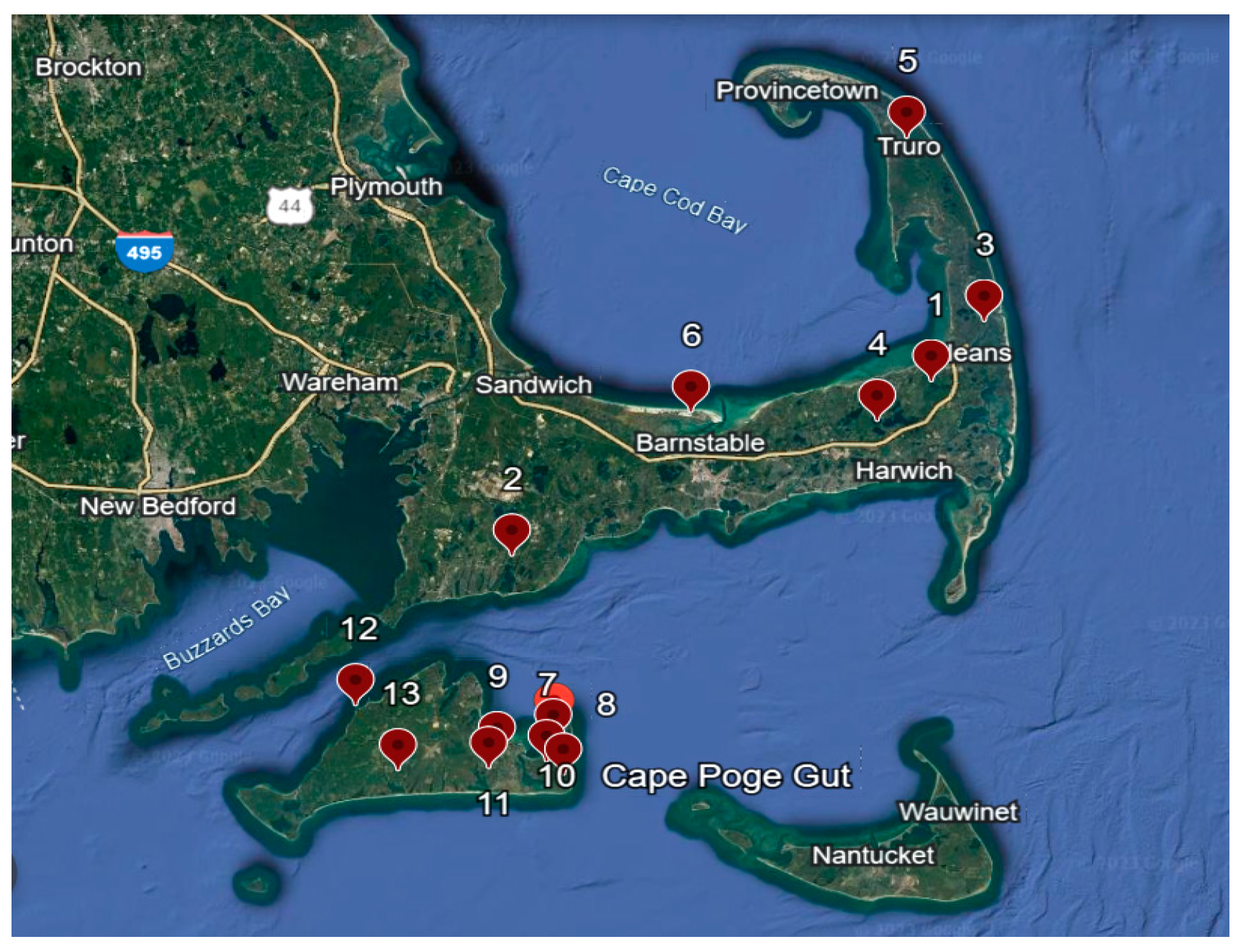 Viruses 16 00250 g001