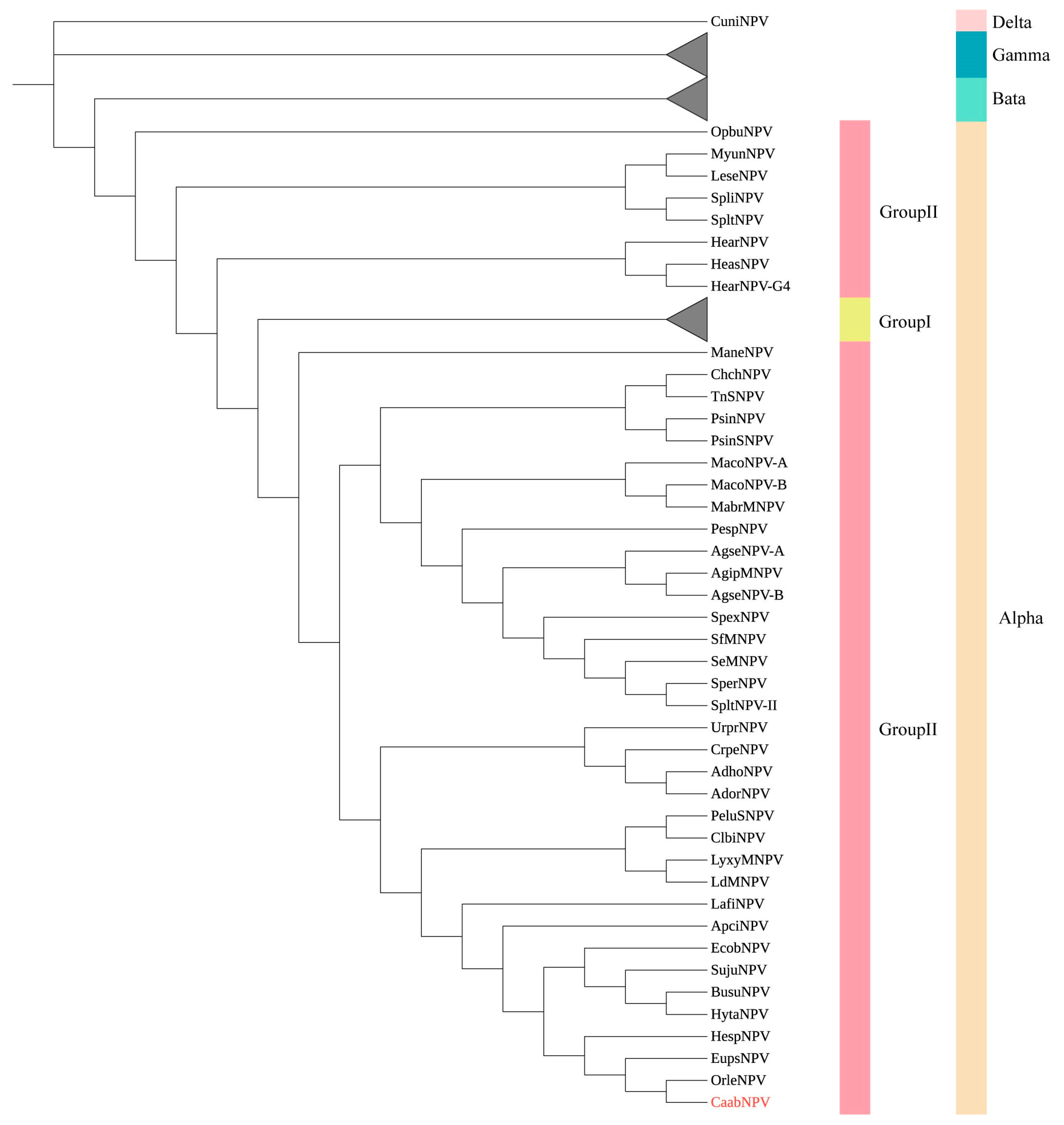 Viruses 16 00252 g004
