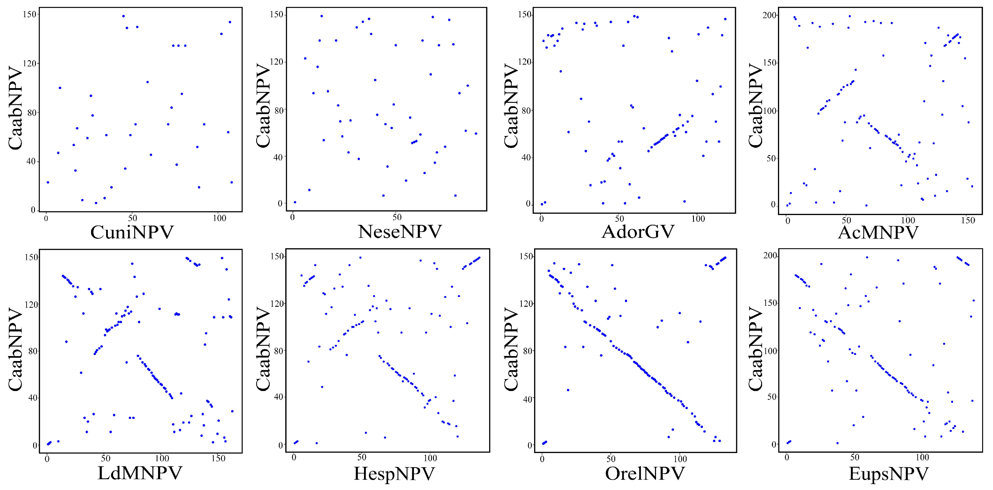 Viruses 16 00252 g005
