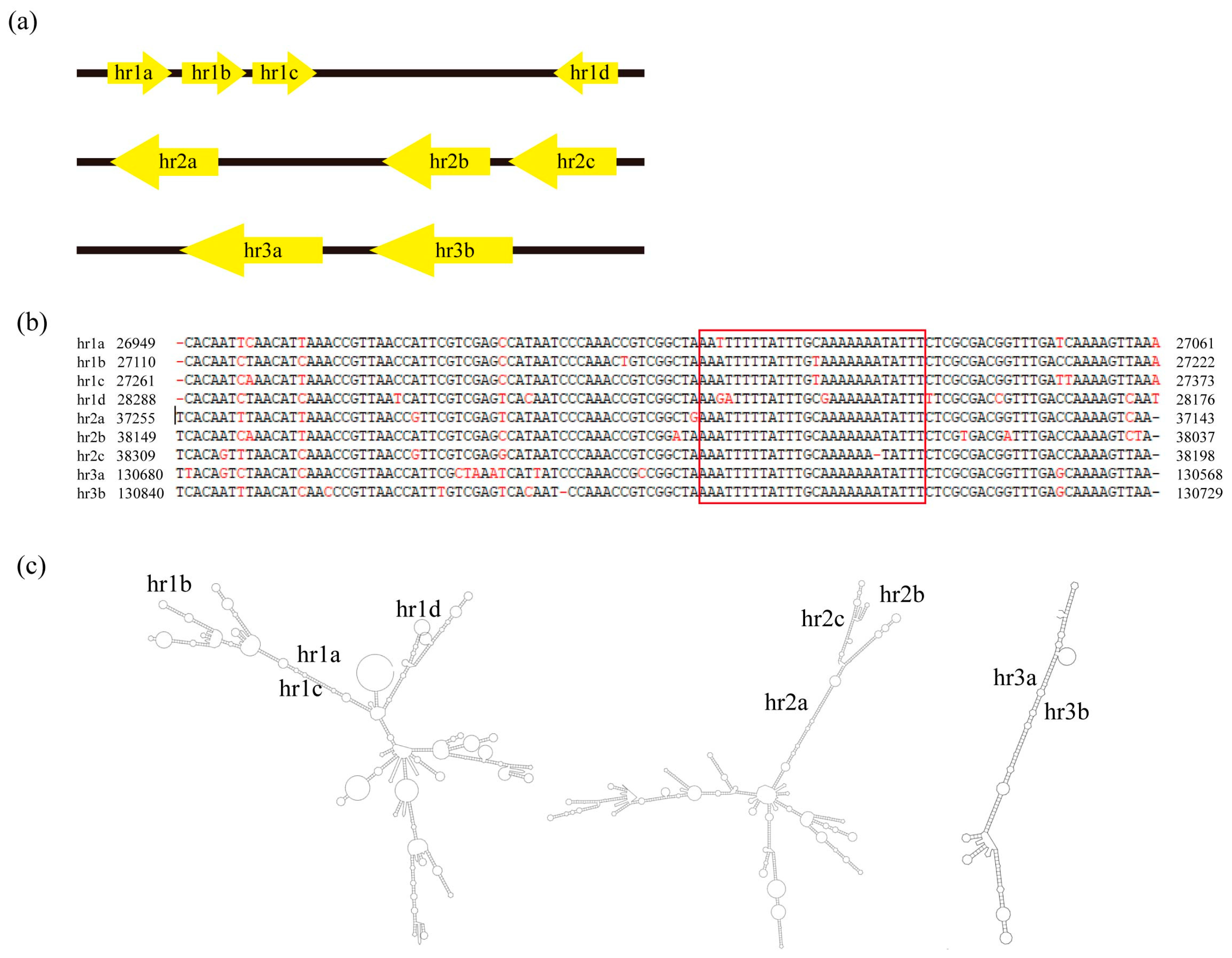 Viruses 16 00252 g006