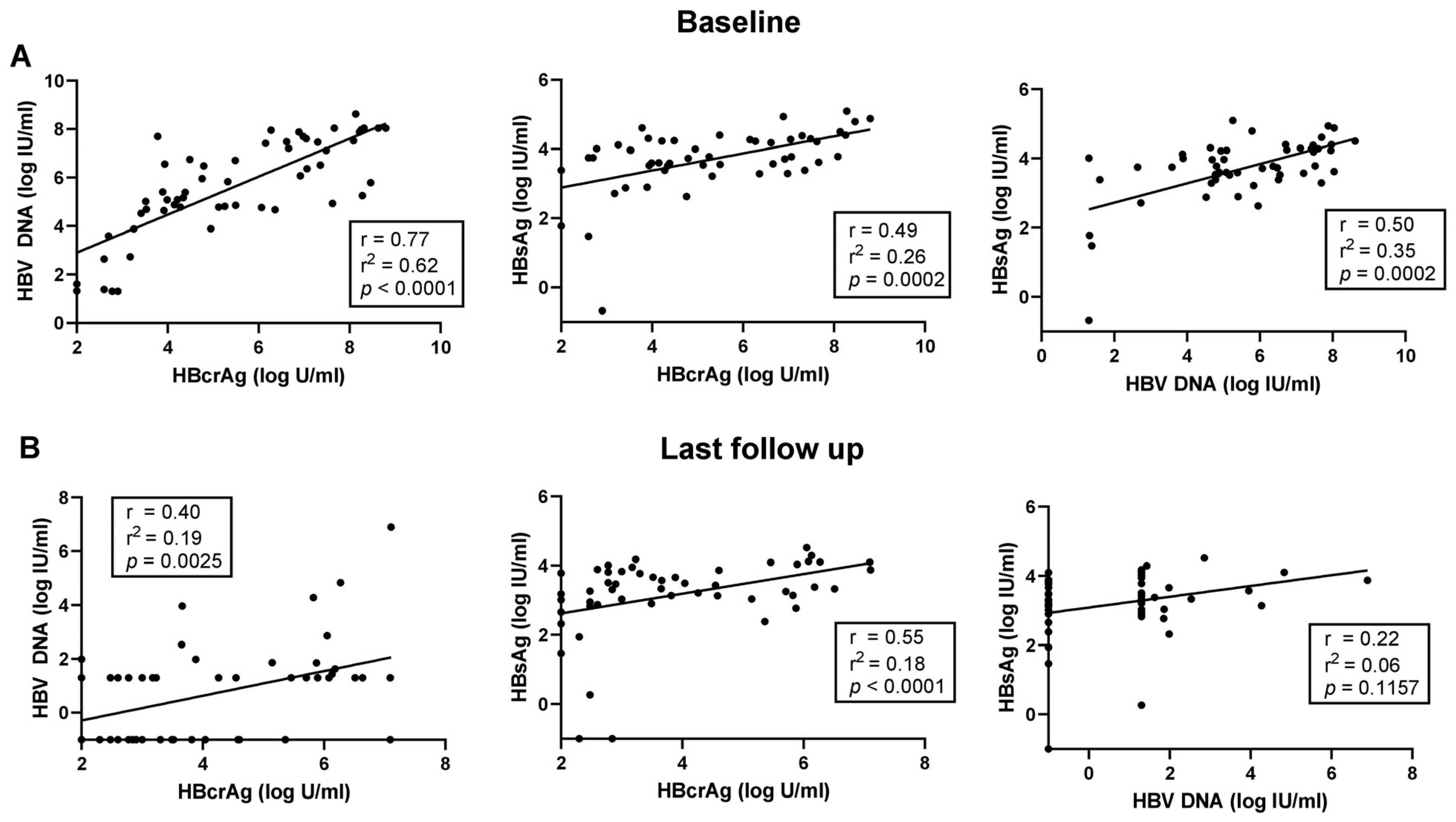 Viruses 16 00255 g002
