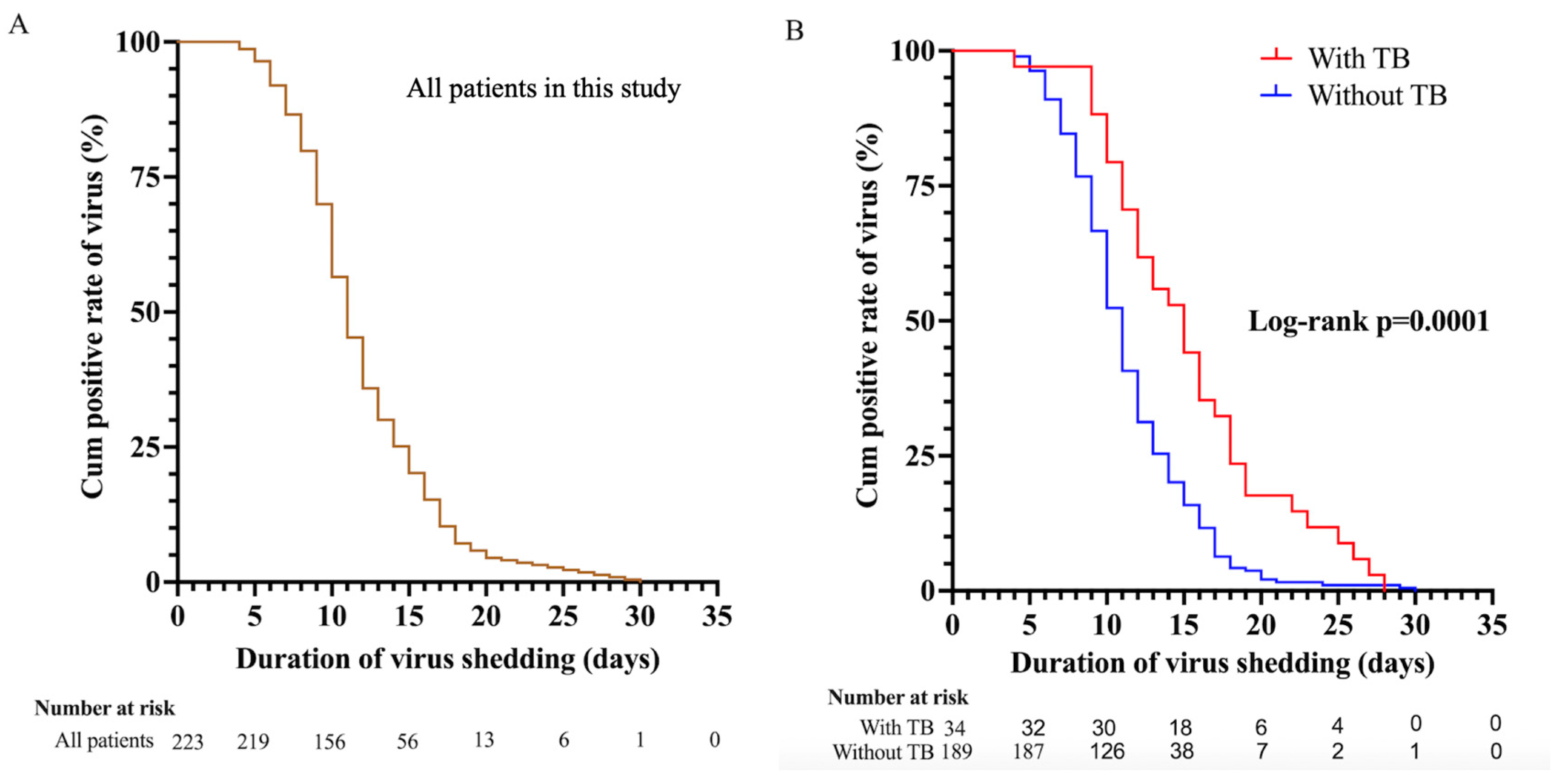 Viruses 16 00260 g001