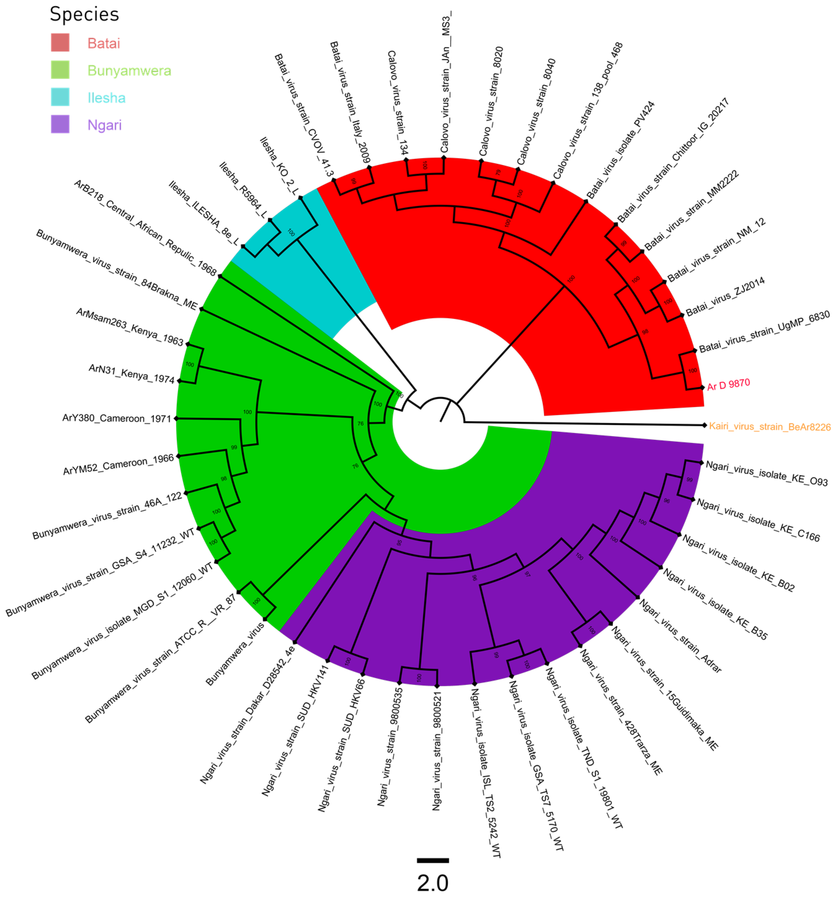 Viruses 16 00261 g001