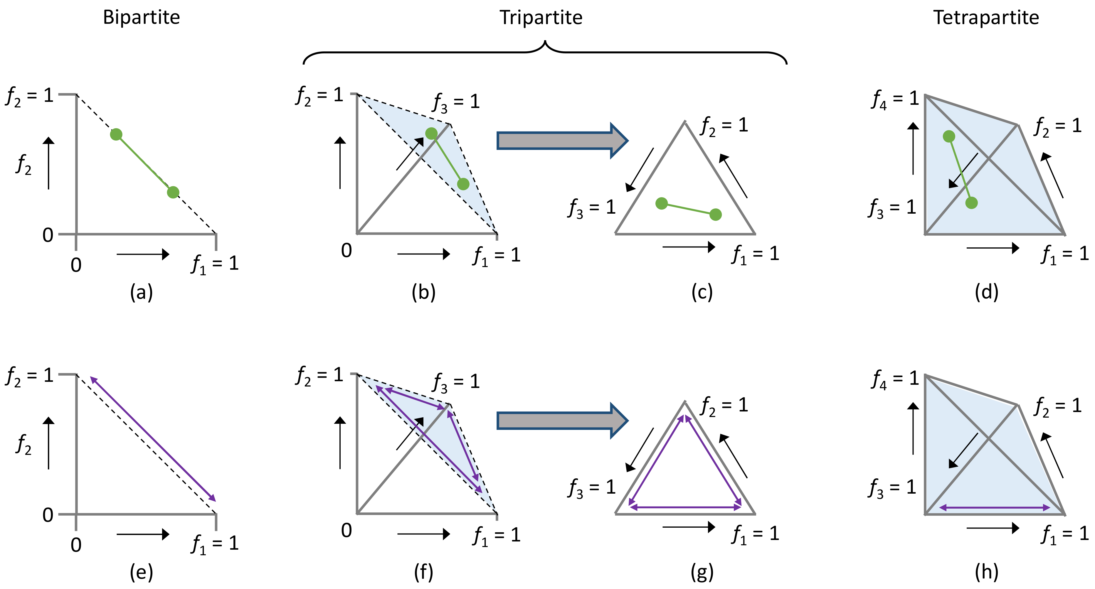 Viruses 16 00270 g002 Viruses 16 00270 g002