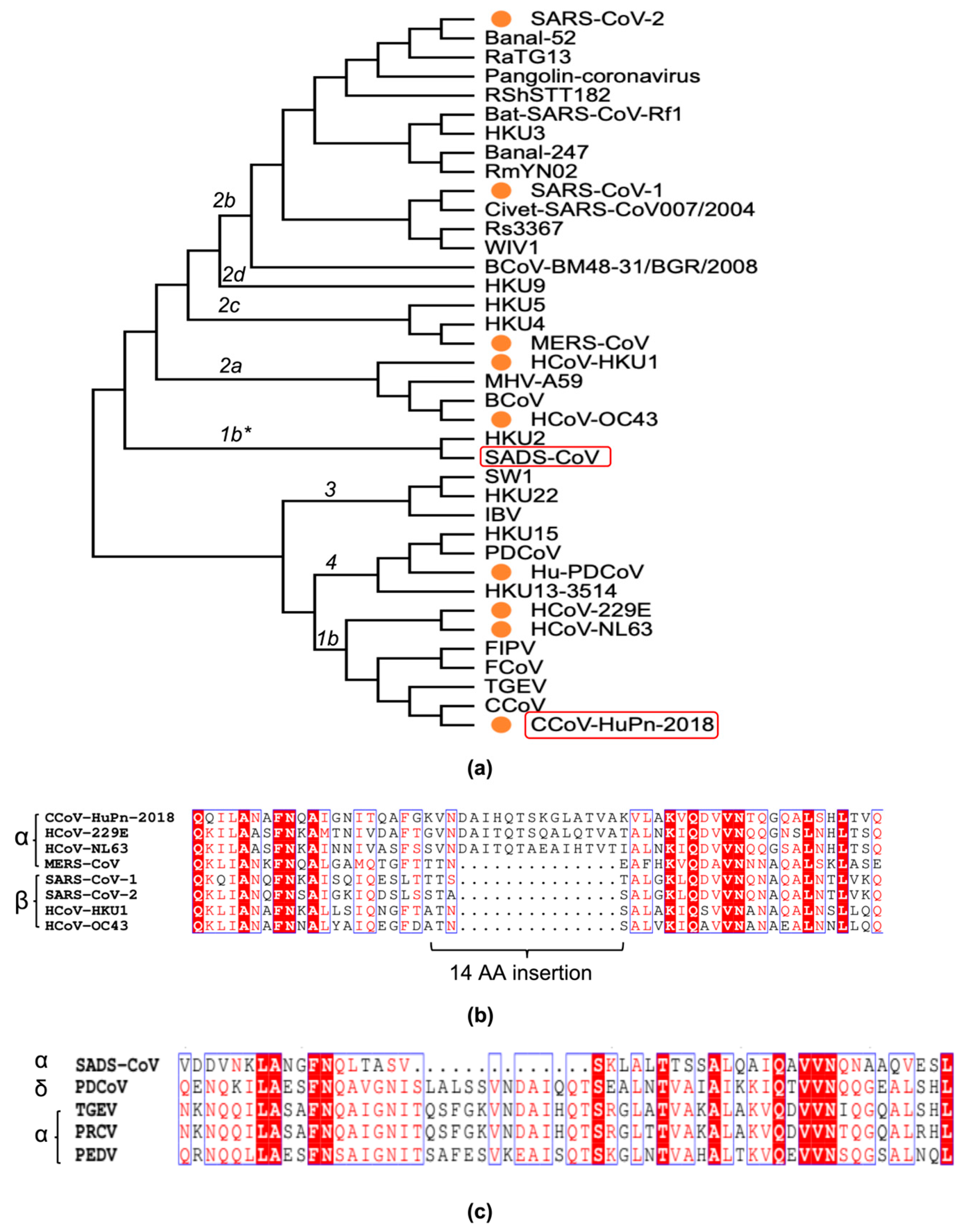 Viruses 16 00272 g001