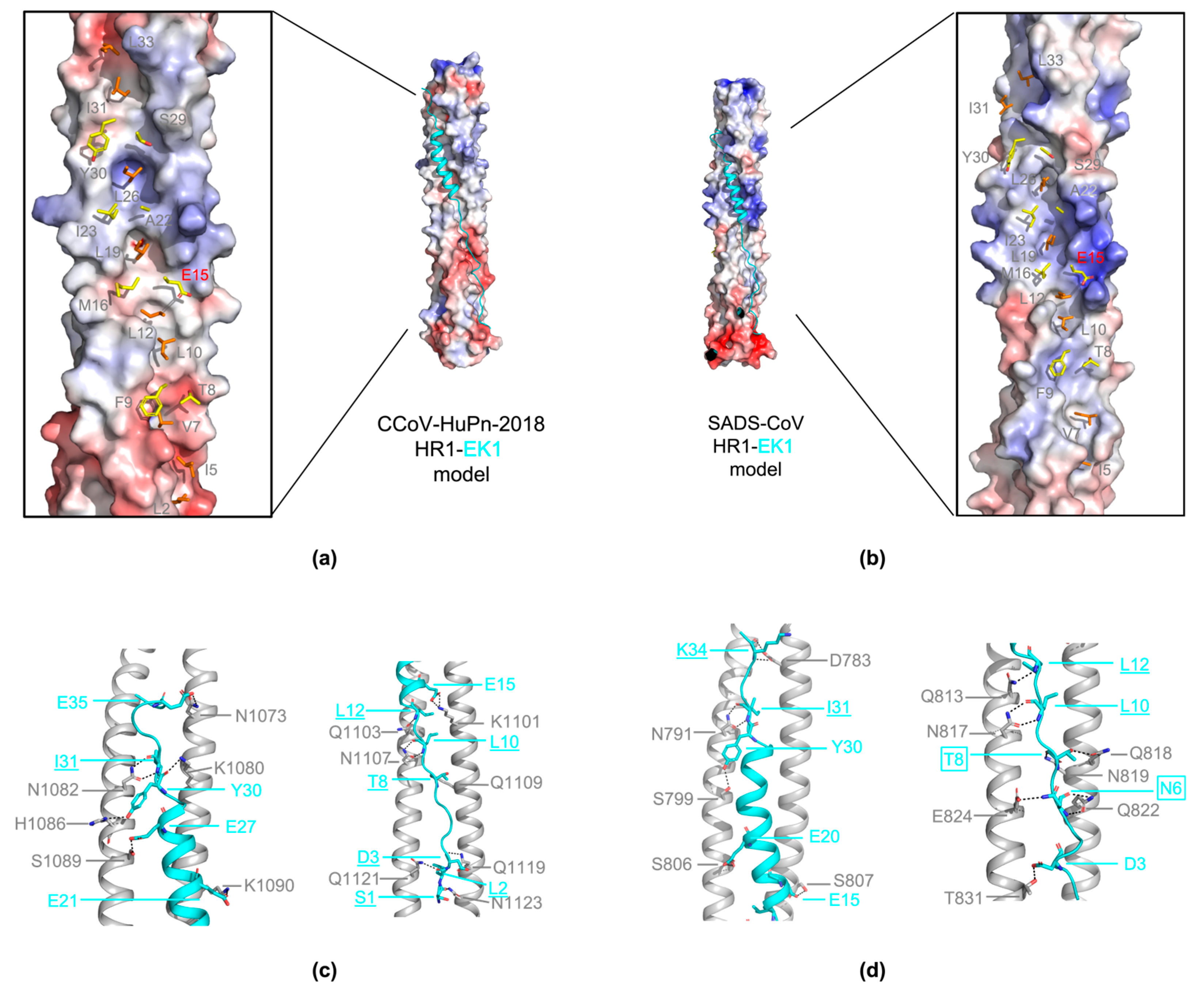 Viruses 16 00272 g005