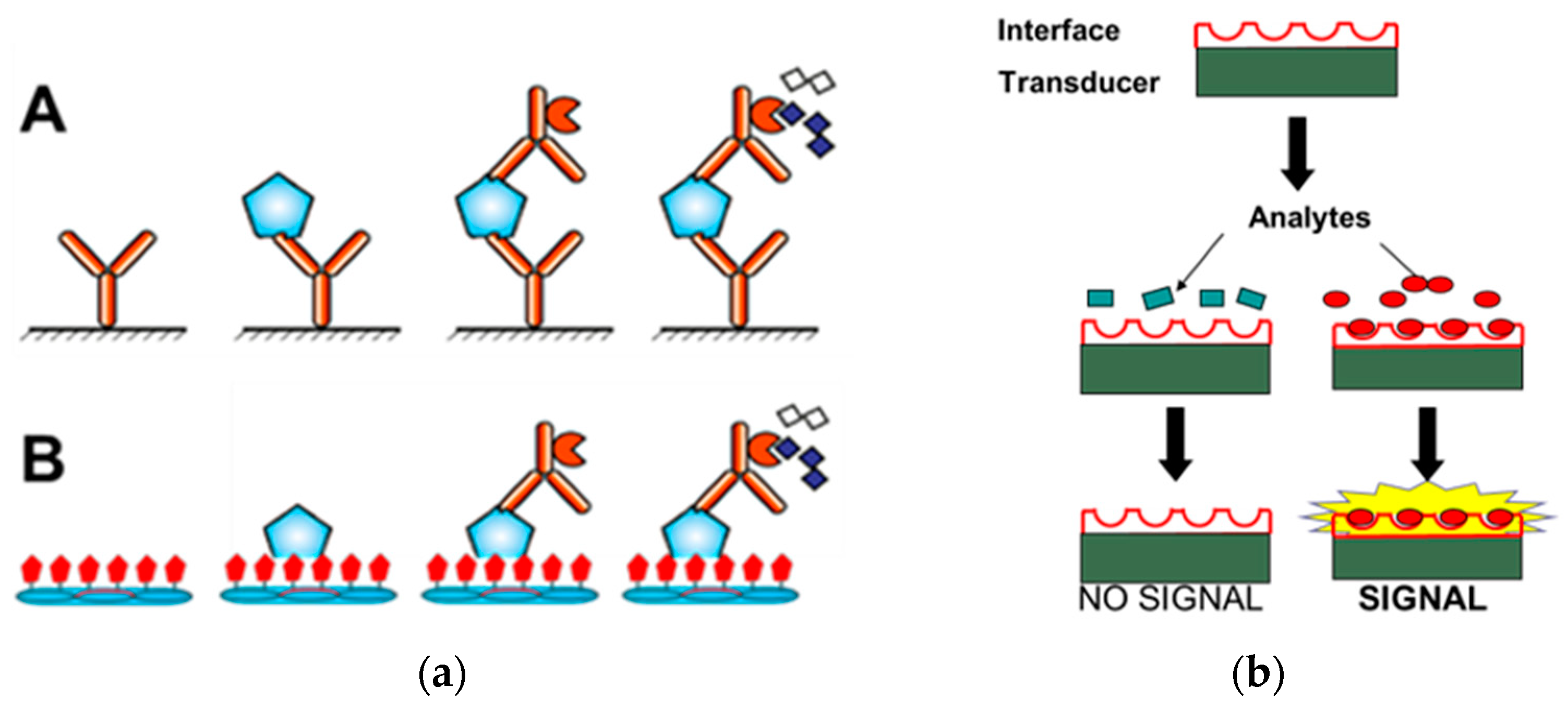 Viruses 16 00277 g001 Viruses 16 00277 g001