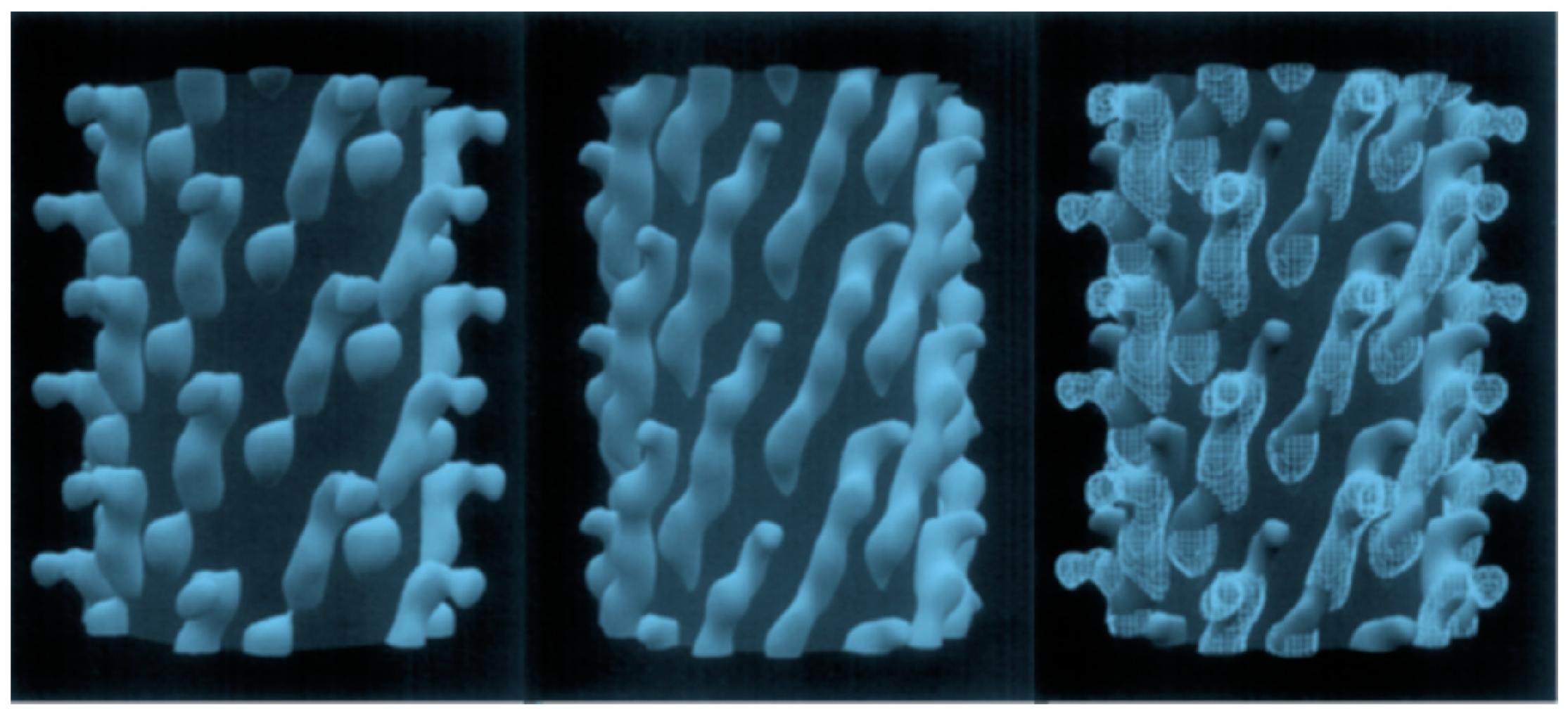 Viruses 16 00277 g003 Viruses 16 00277 g003