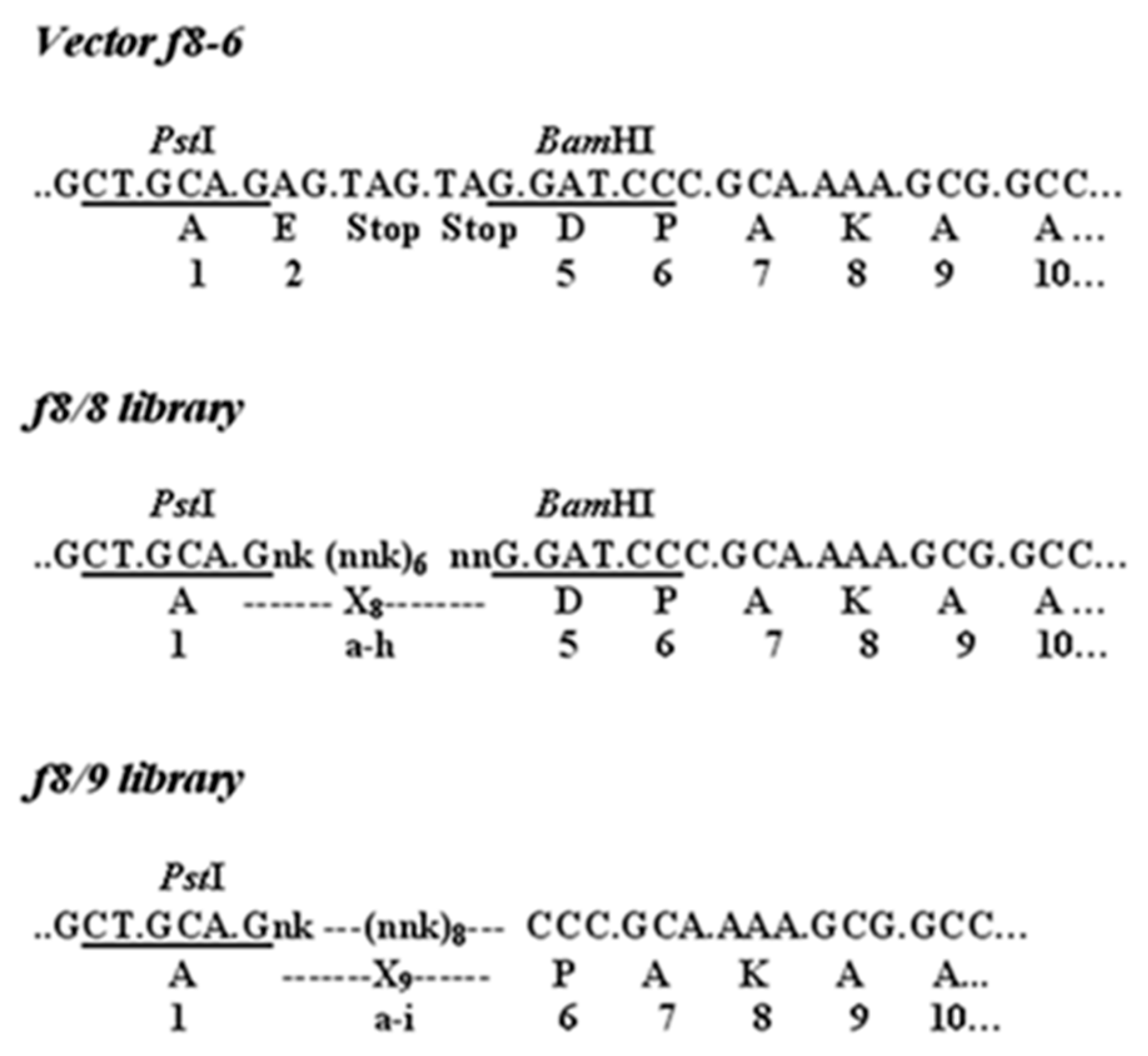 Viruses 16 00277 g004 Viruses 16 00277 g004