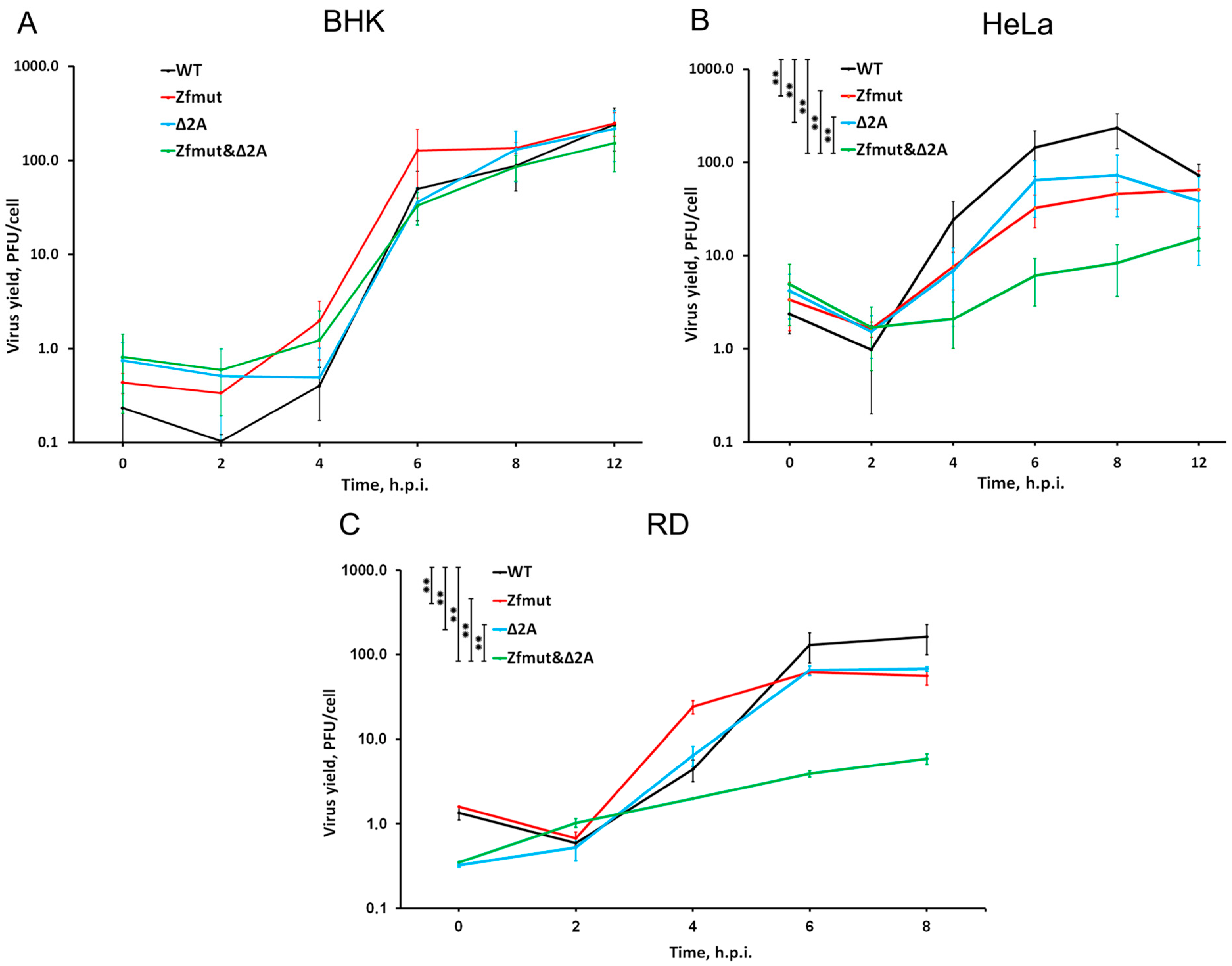 Viruses 16 00280 g002 Viruses 16 00280 g002