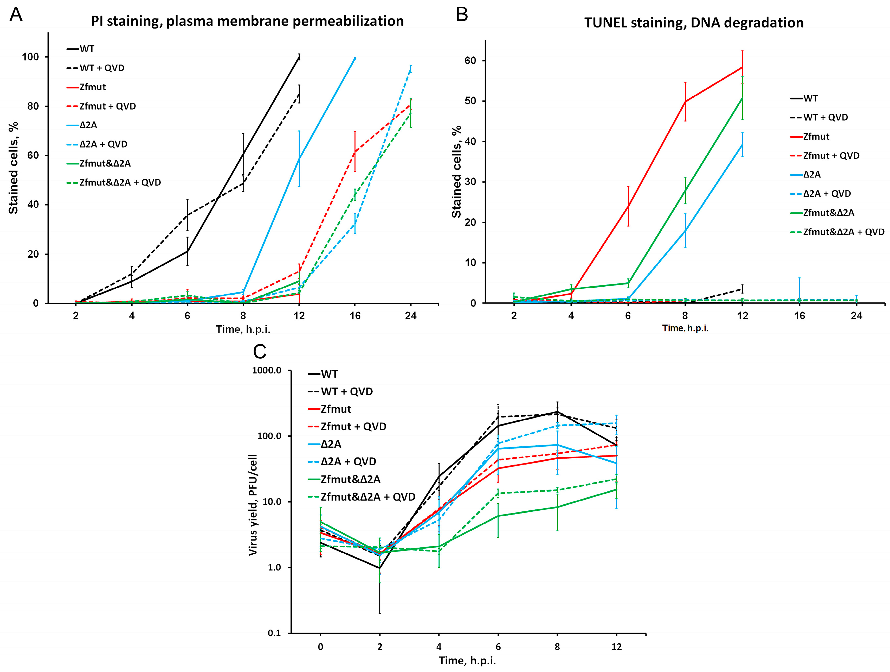 Viruses 16 00280 g011 Viruses 16 00280 g011