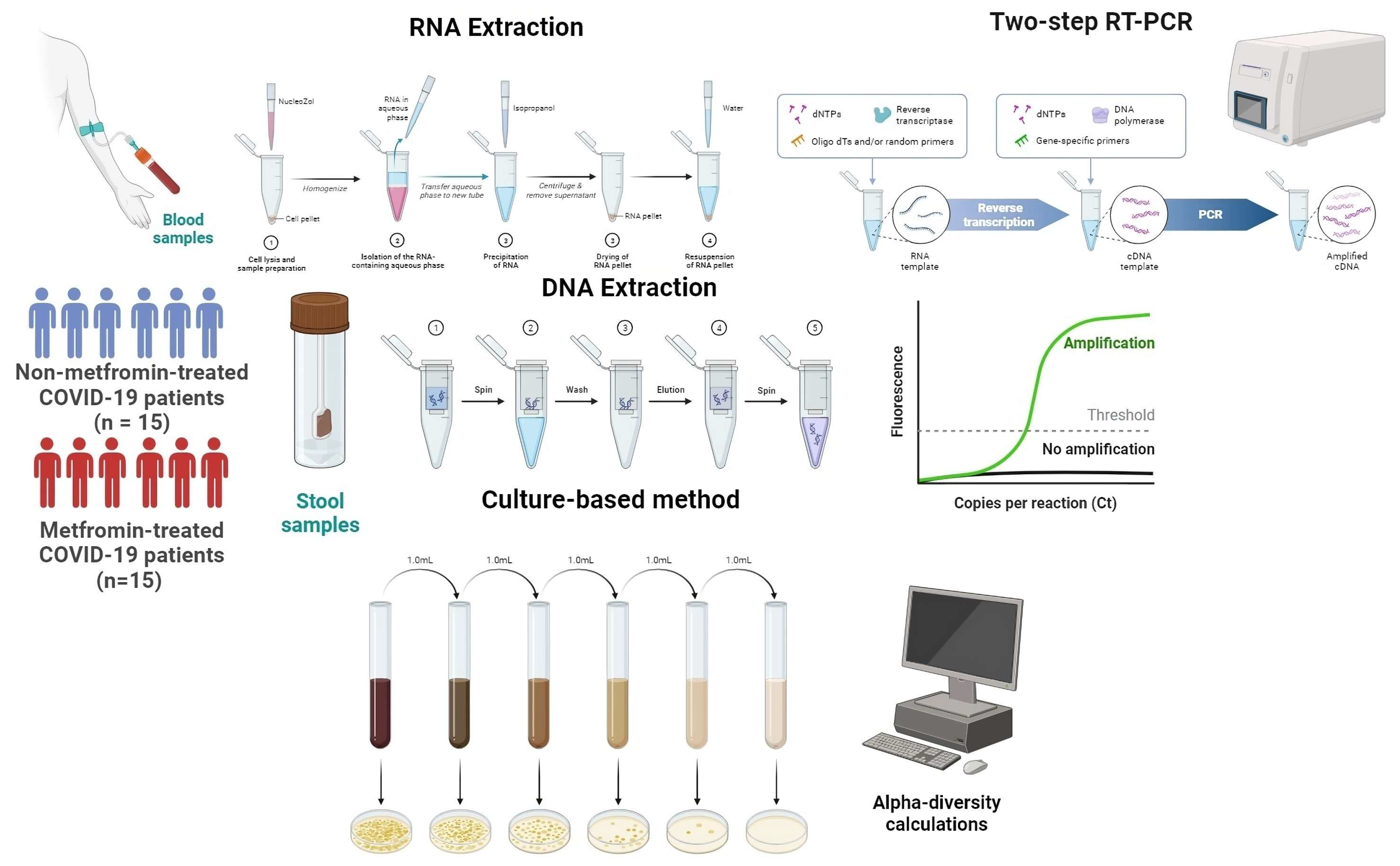 Viruses 16 00281 g001