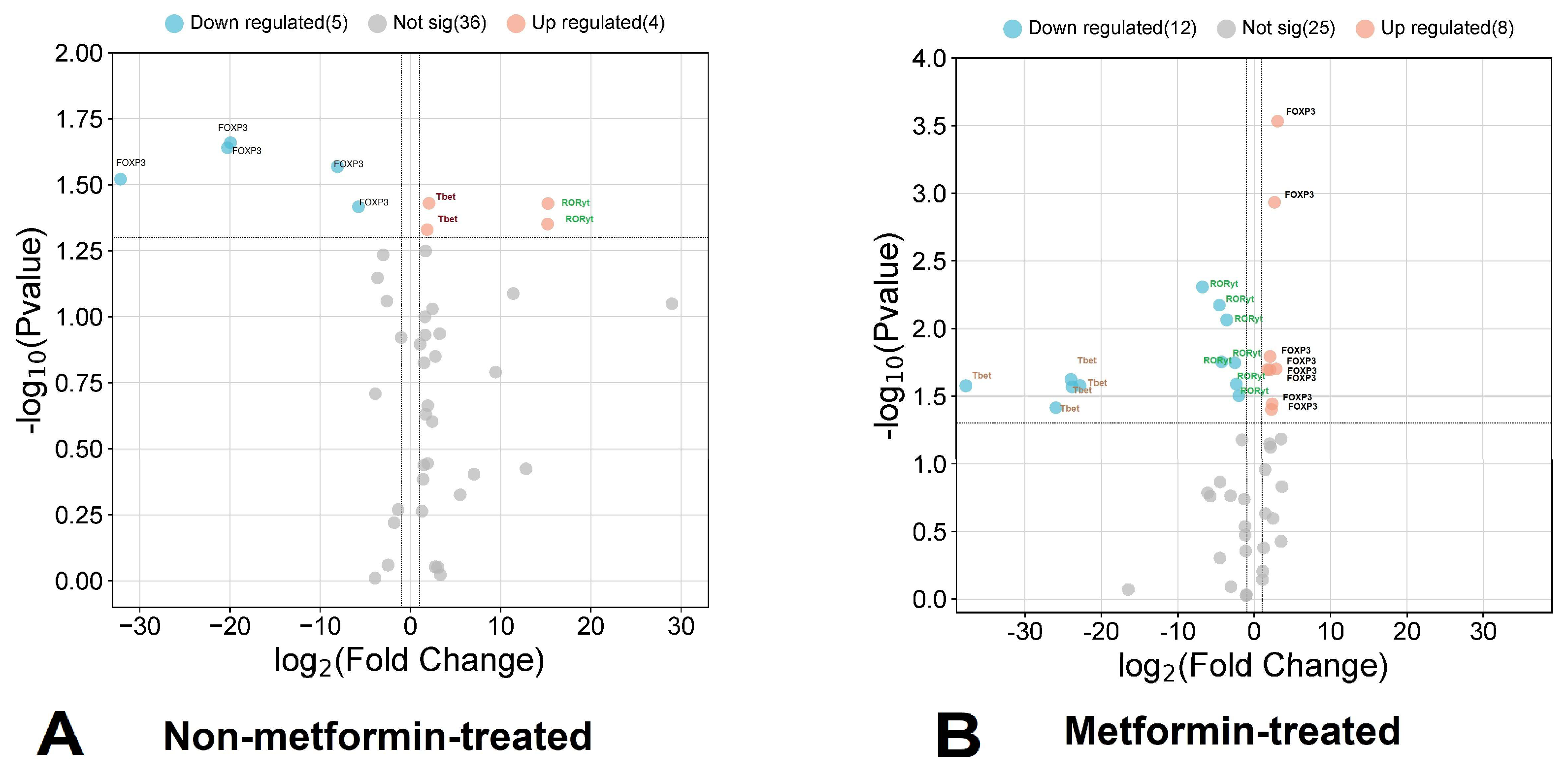 Viruses 16 00281 g002