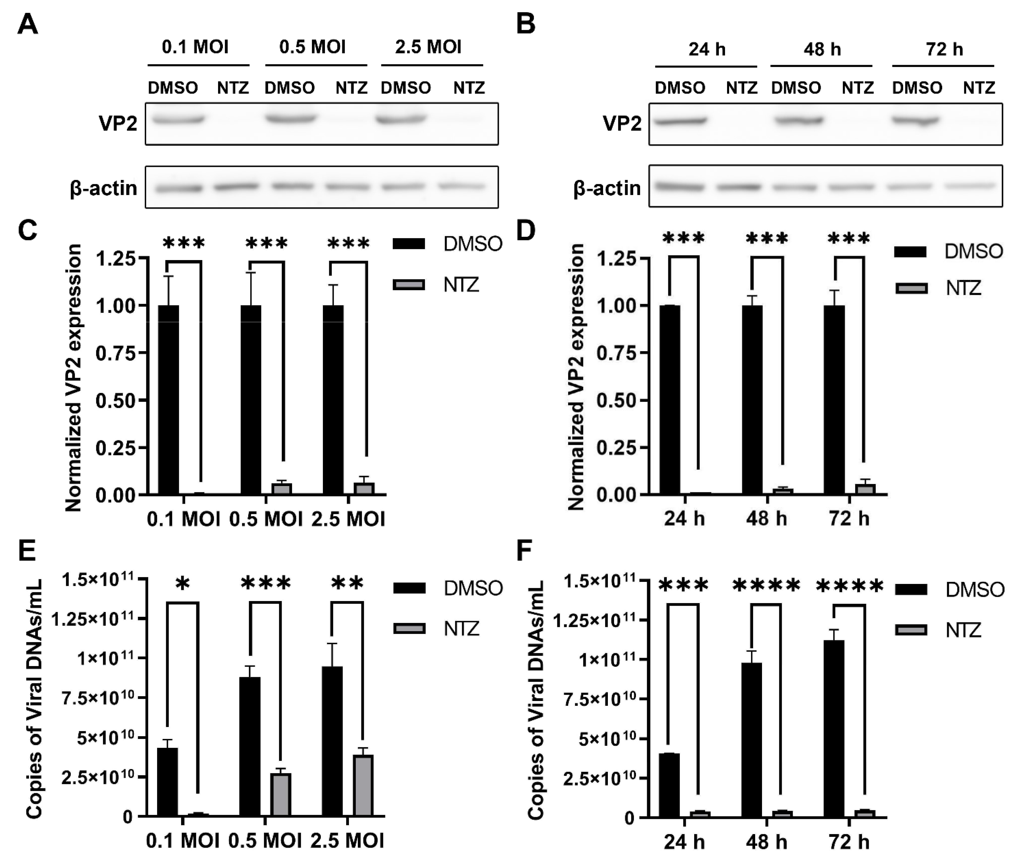 Viruses 16 00282 g001 Viruses 16 00282 g001