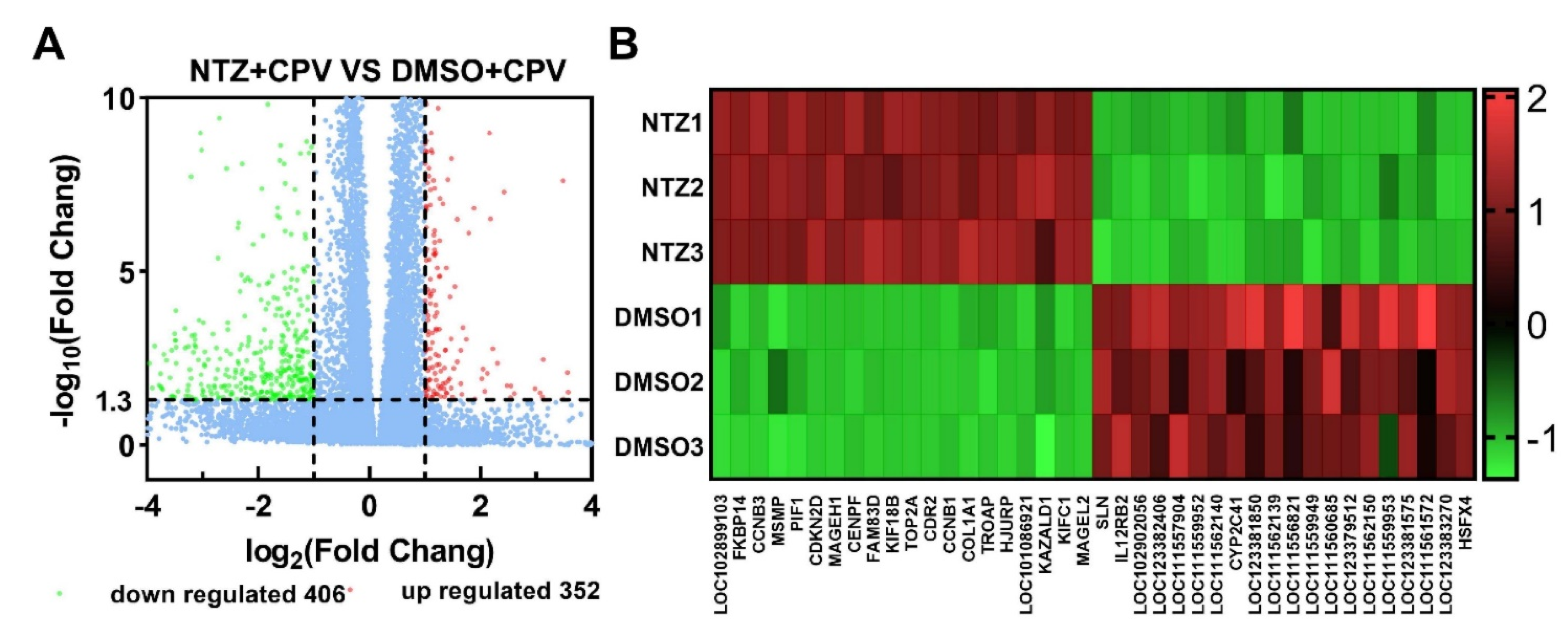 Viruses 16 00282 g002 Viruses 16 00282 g002
