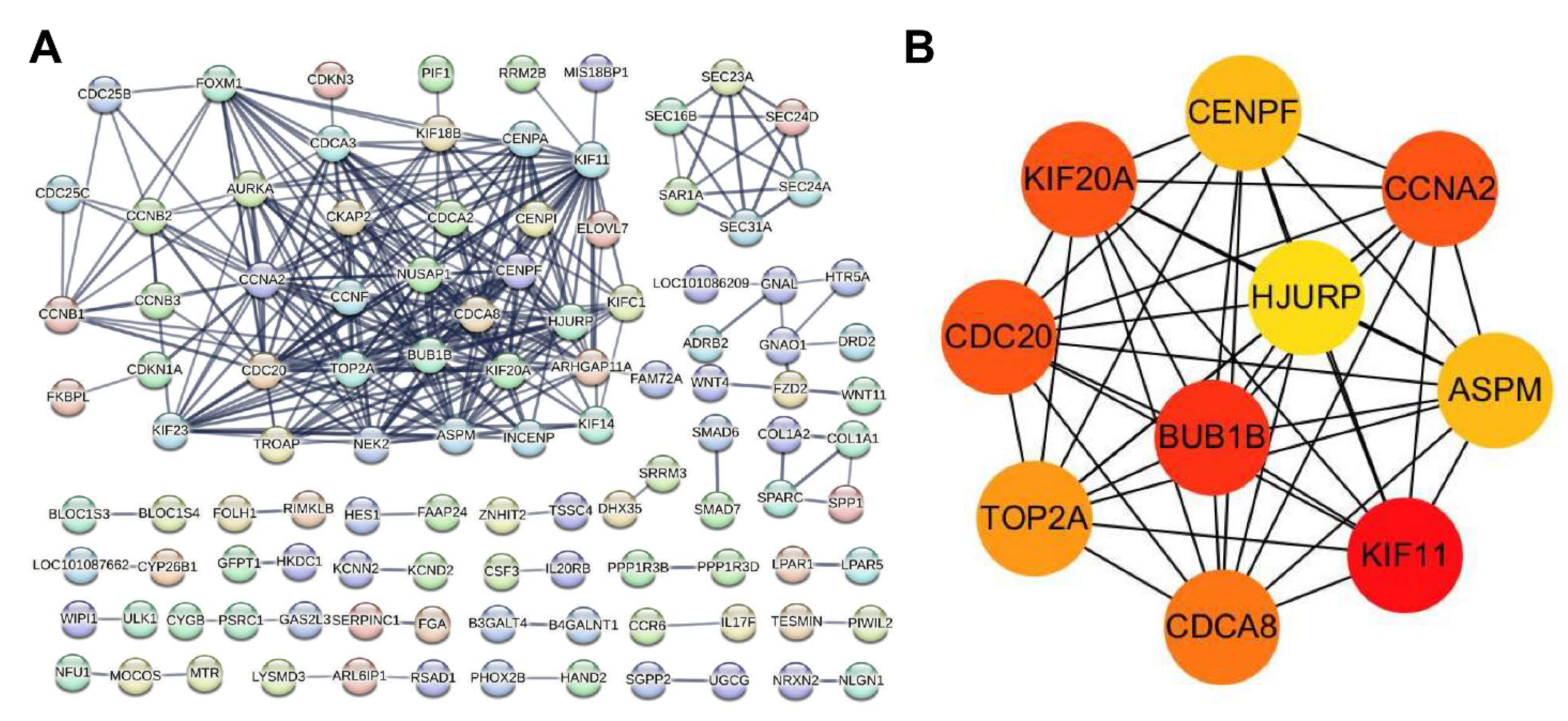Viruses 16 00282 g004 Viruses 16 00282 g004