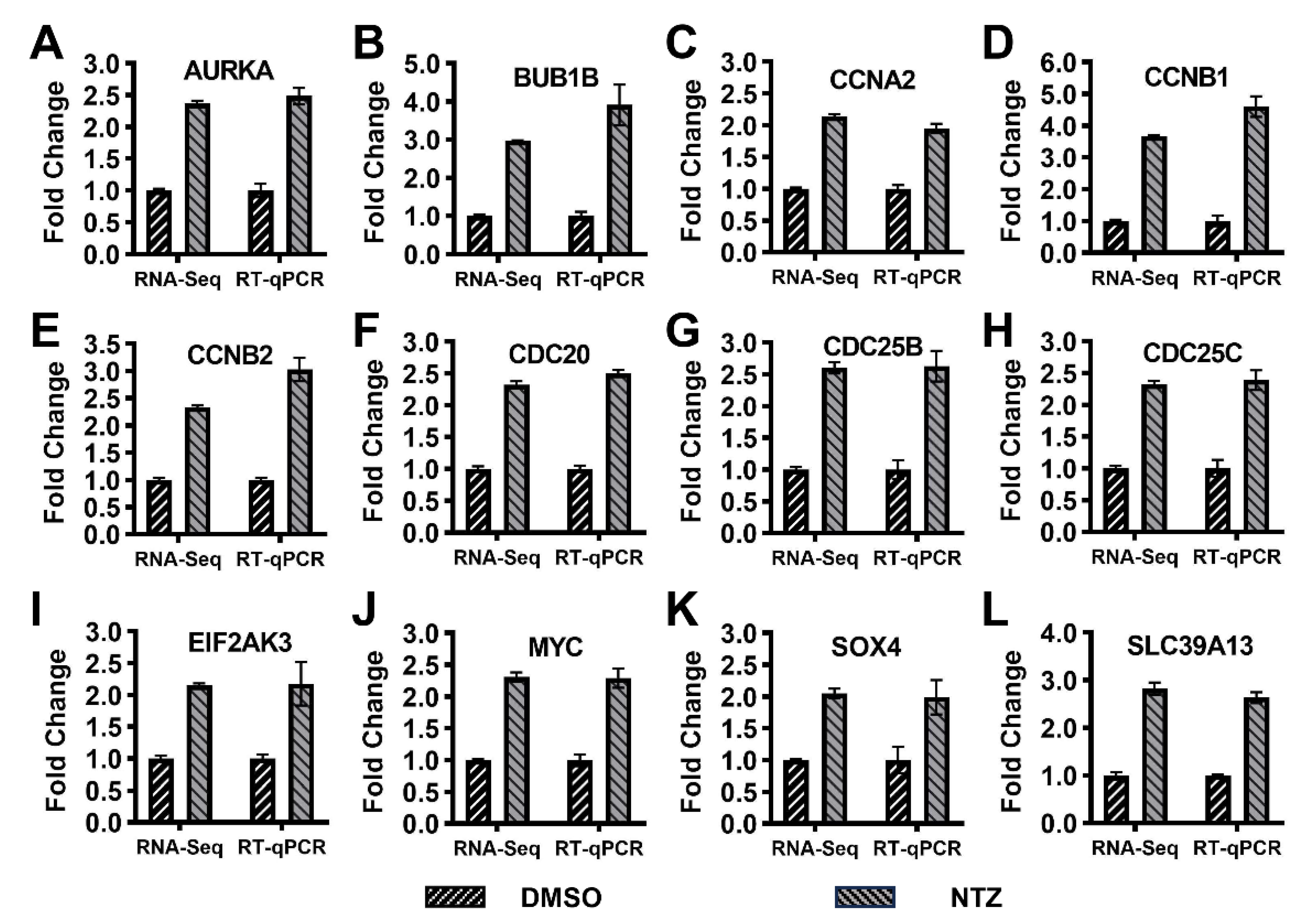 Viruses 16 00282 g005 Viruses 16 00282 g005