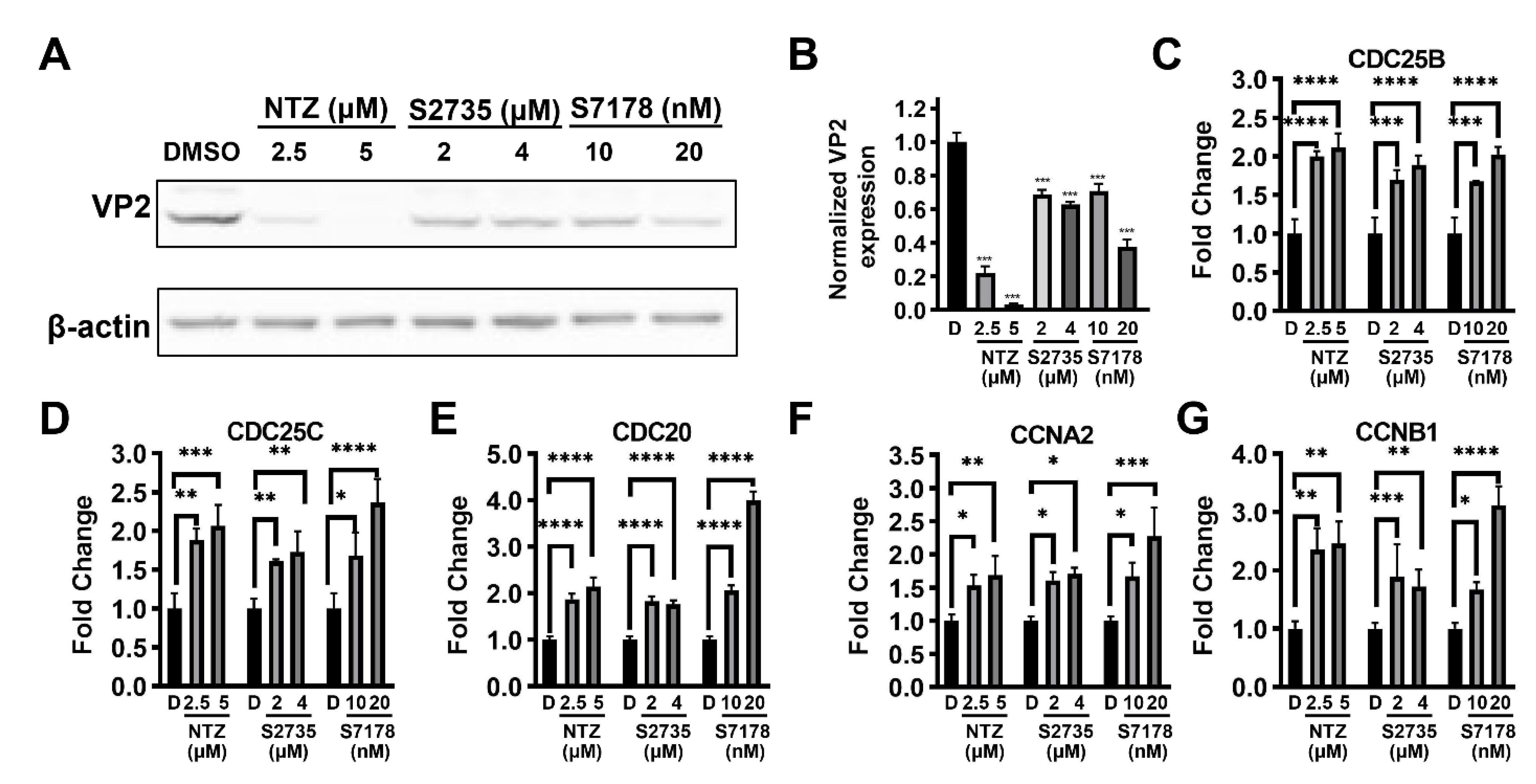 Viruses 16 00282 g006 Viruses 16 00282 g006