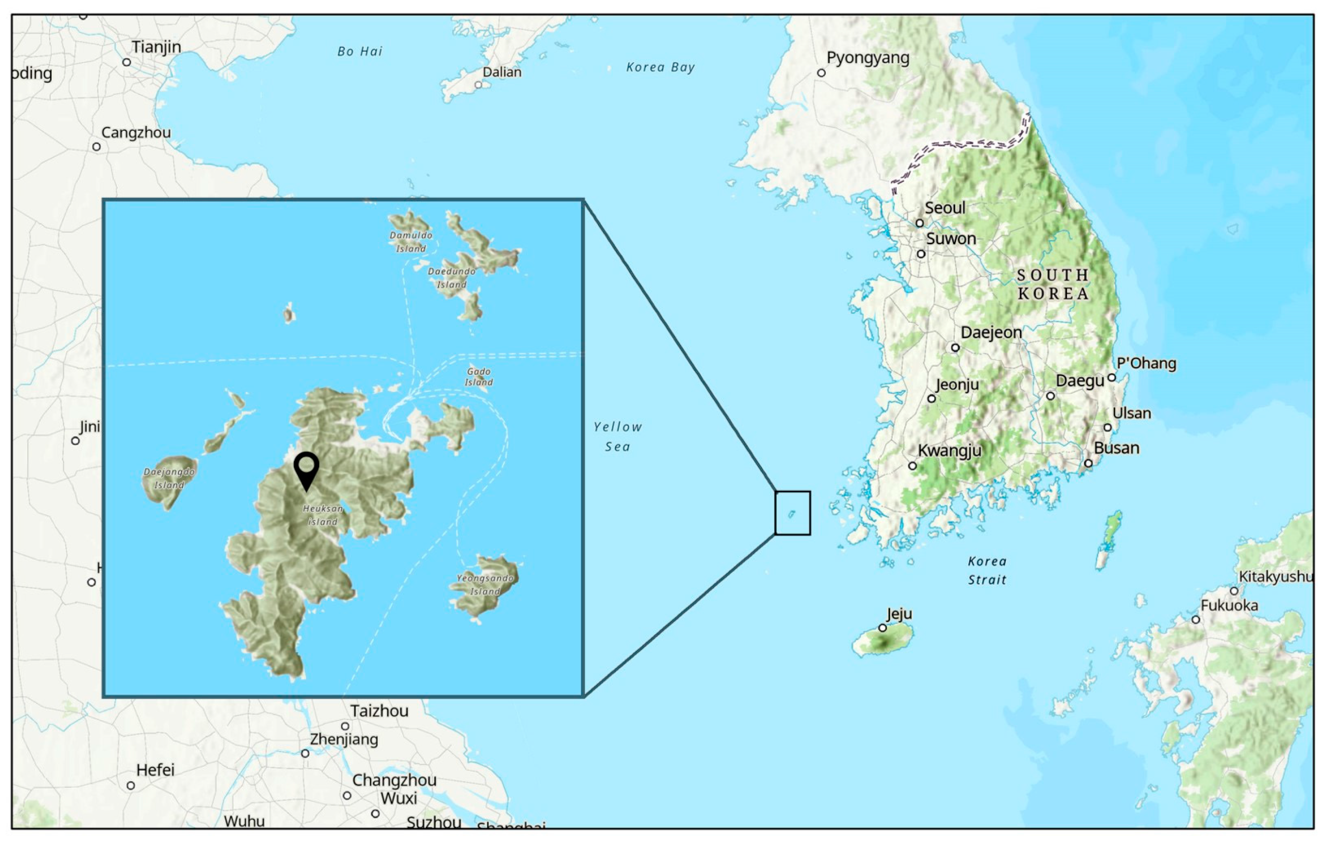Viruses 16 00285 g001