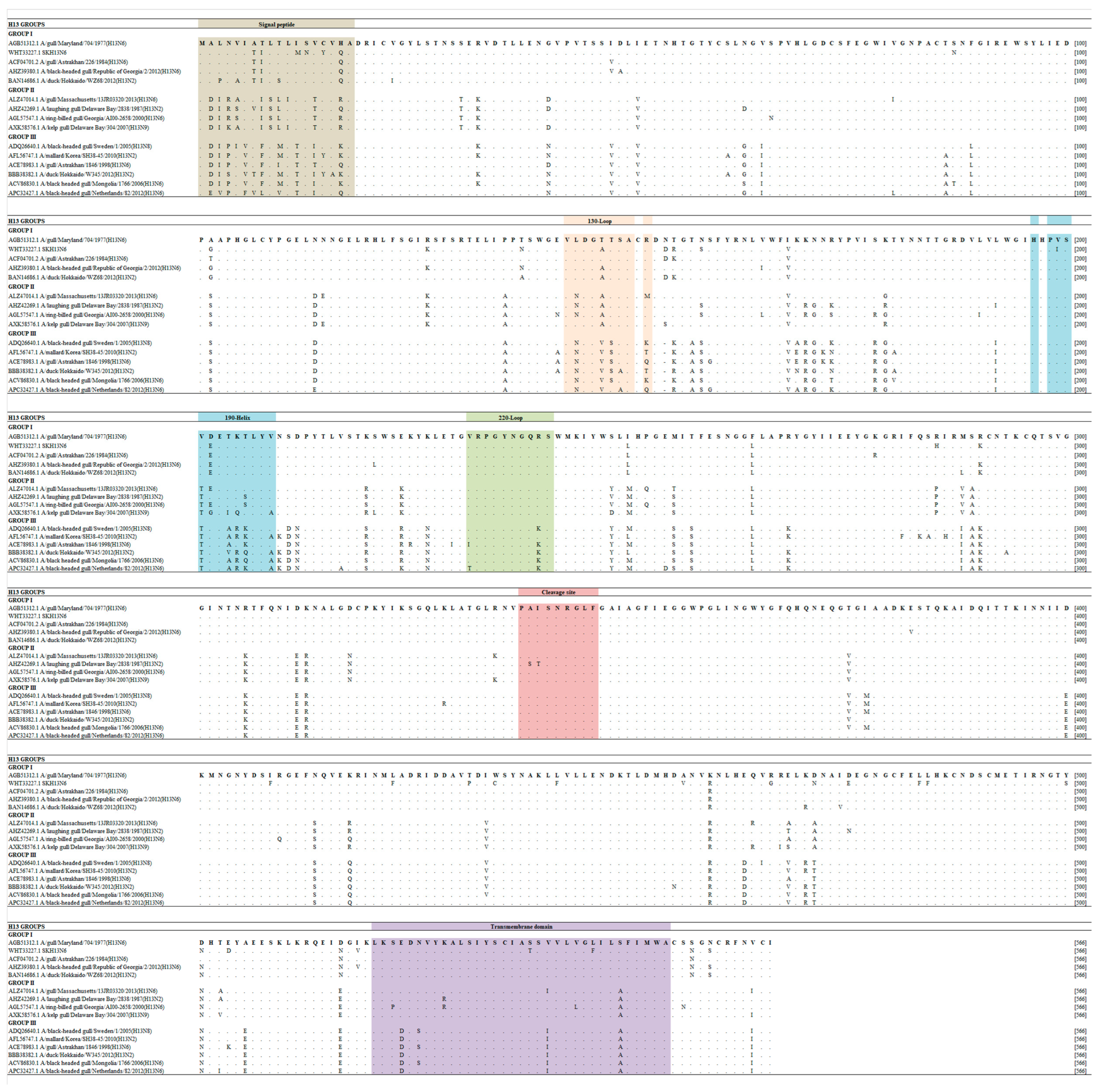 Viruses 16 00285 g002